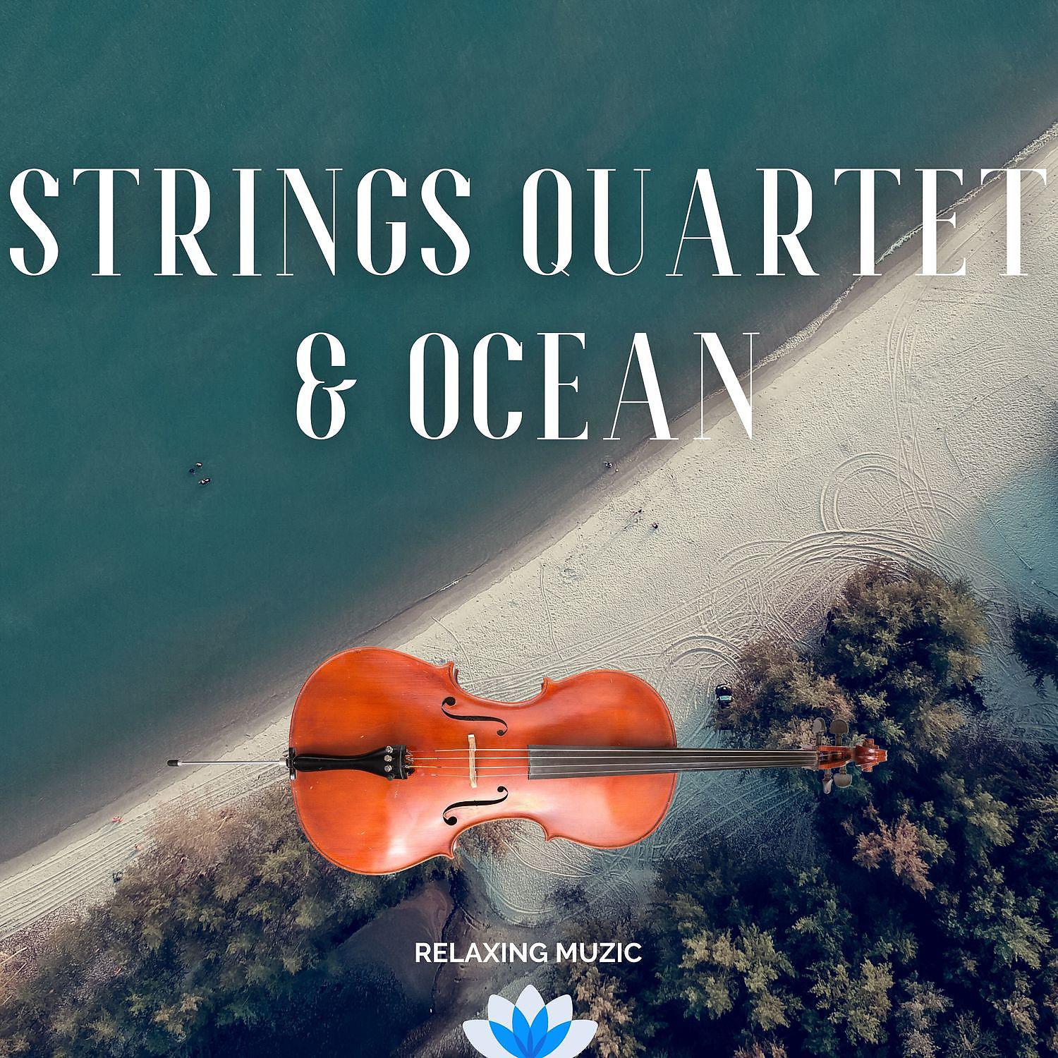 Постер альбома Instrumental Strings Quartet & Ocean