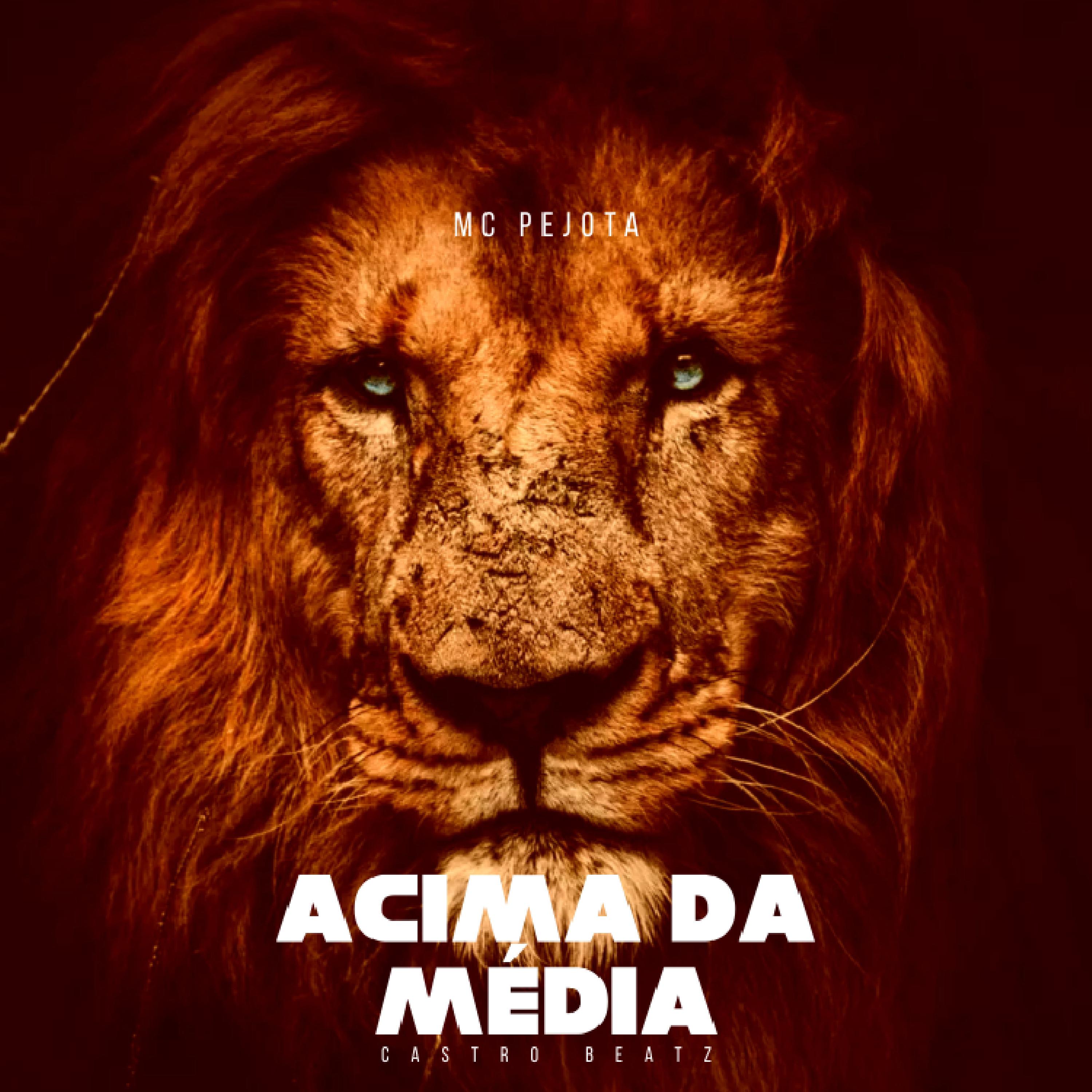 Постер альбома Acima da Média