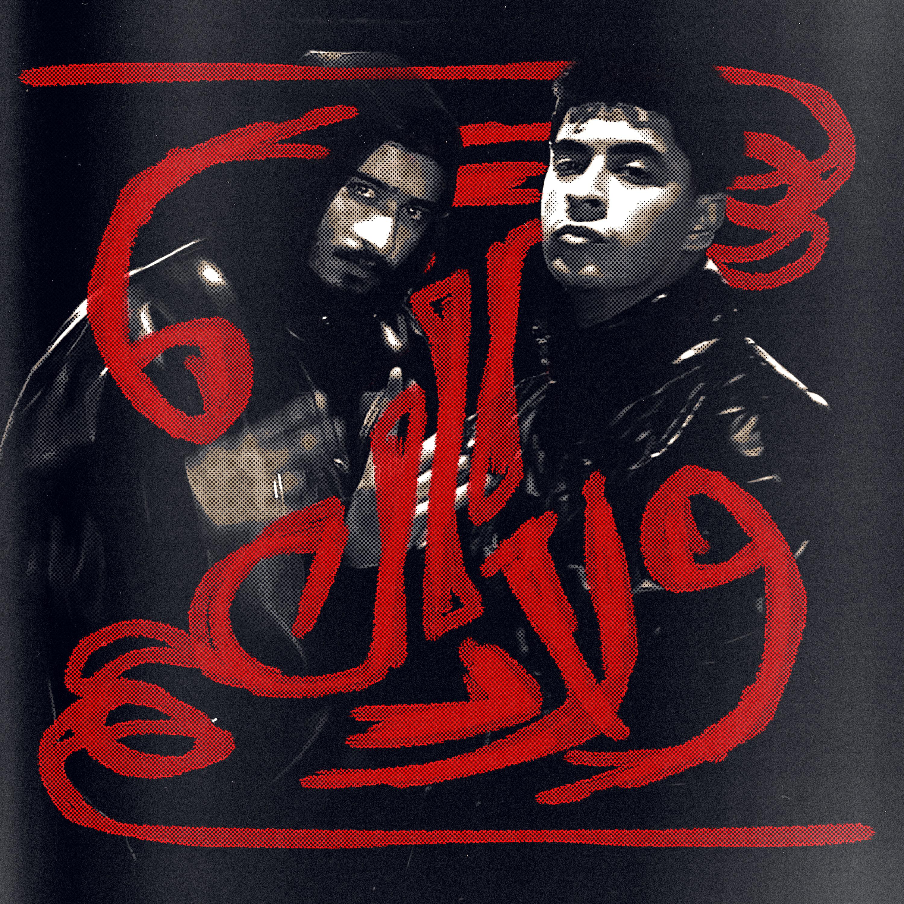 Постер альбома Wlad Al3am