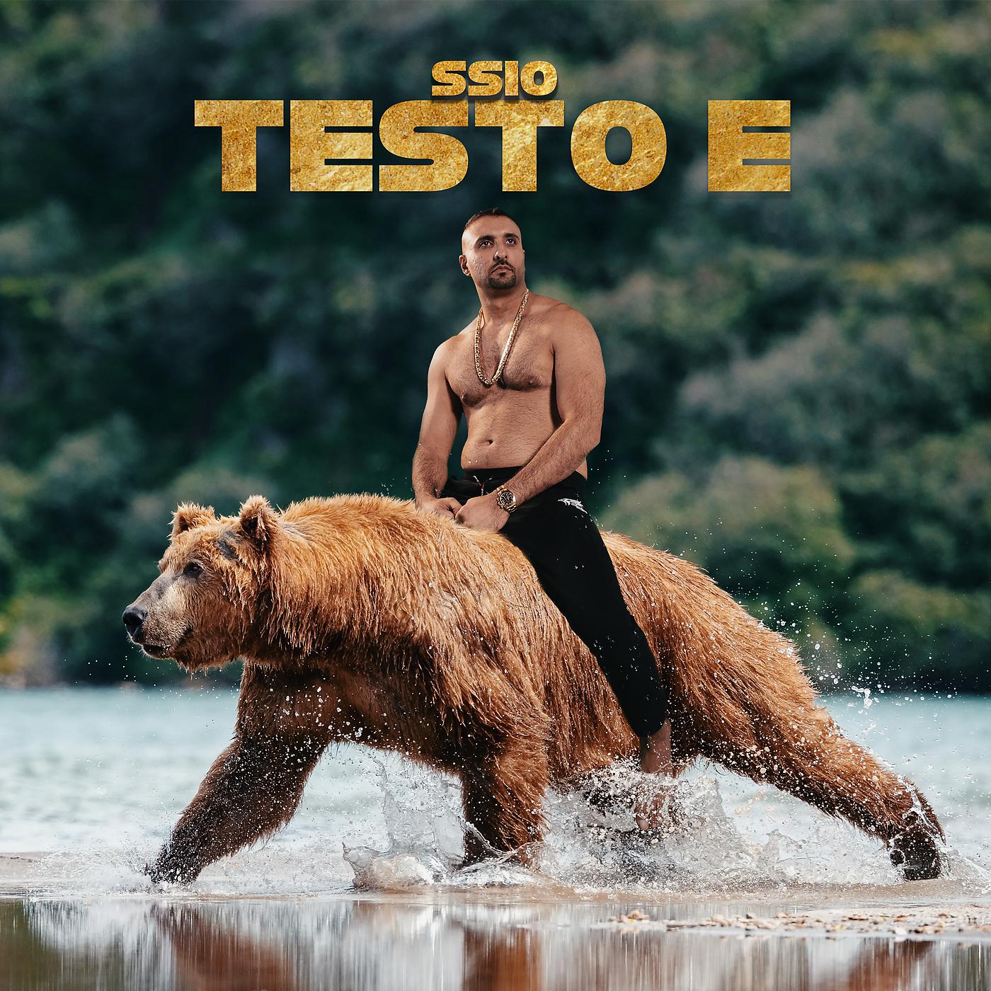 Постер альбома Testo E