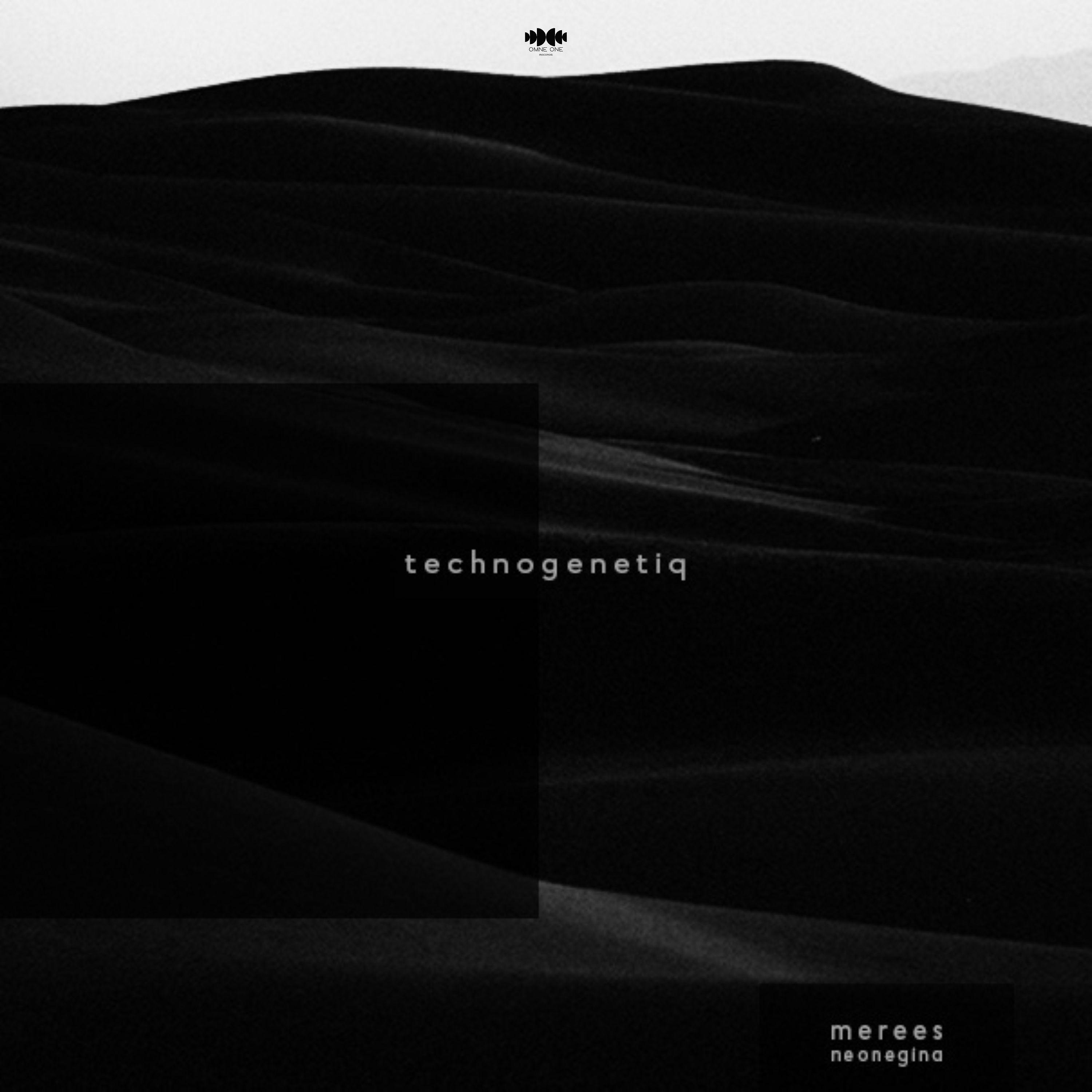 Постер альбома Techogenetiq