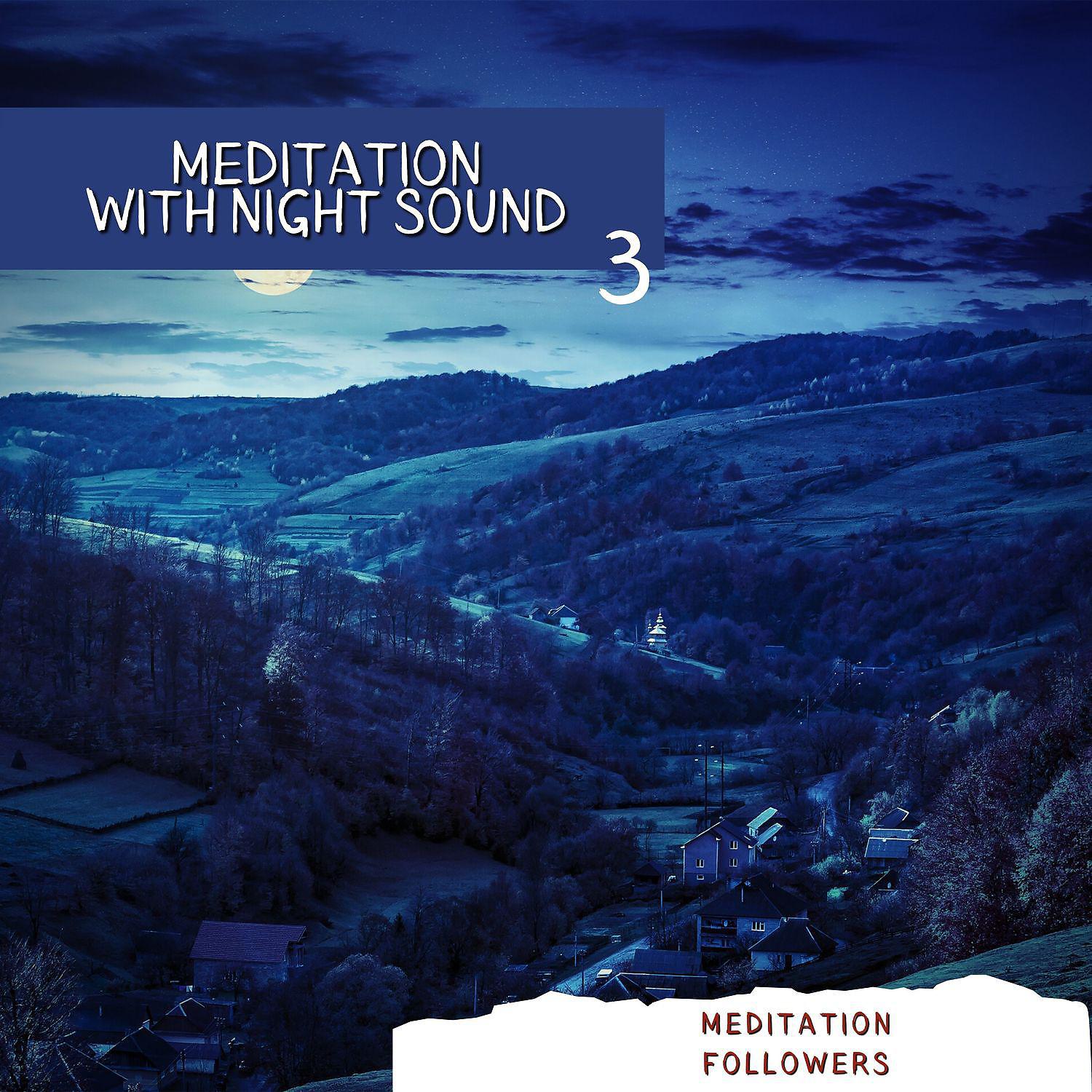 Постер альбома Meditation with Night Sound 3