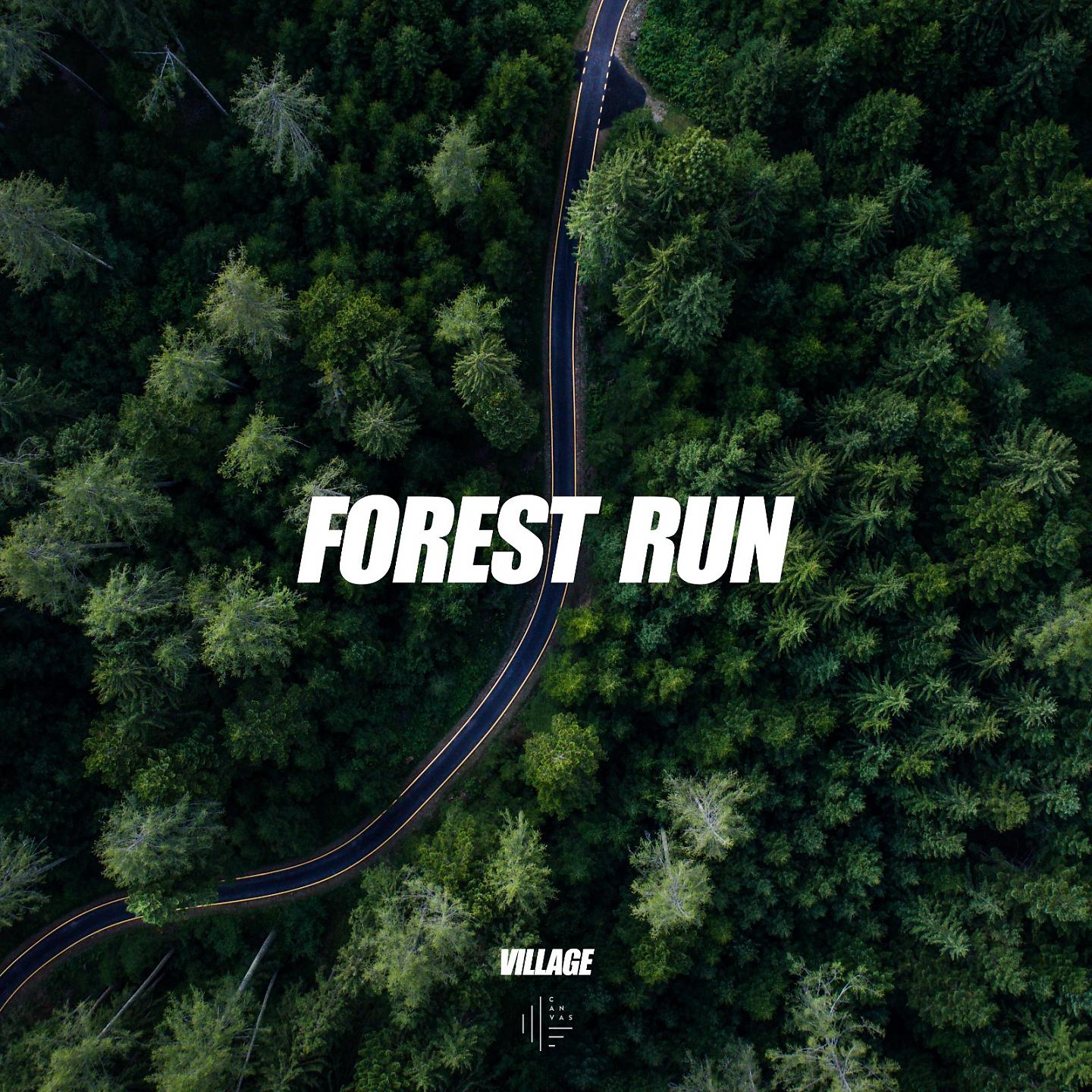 Постер альбома Forest Run