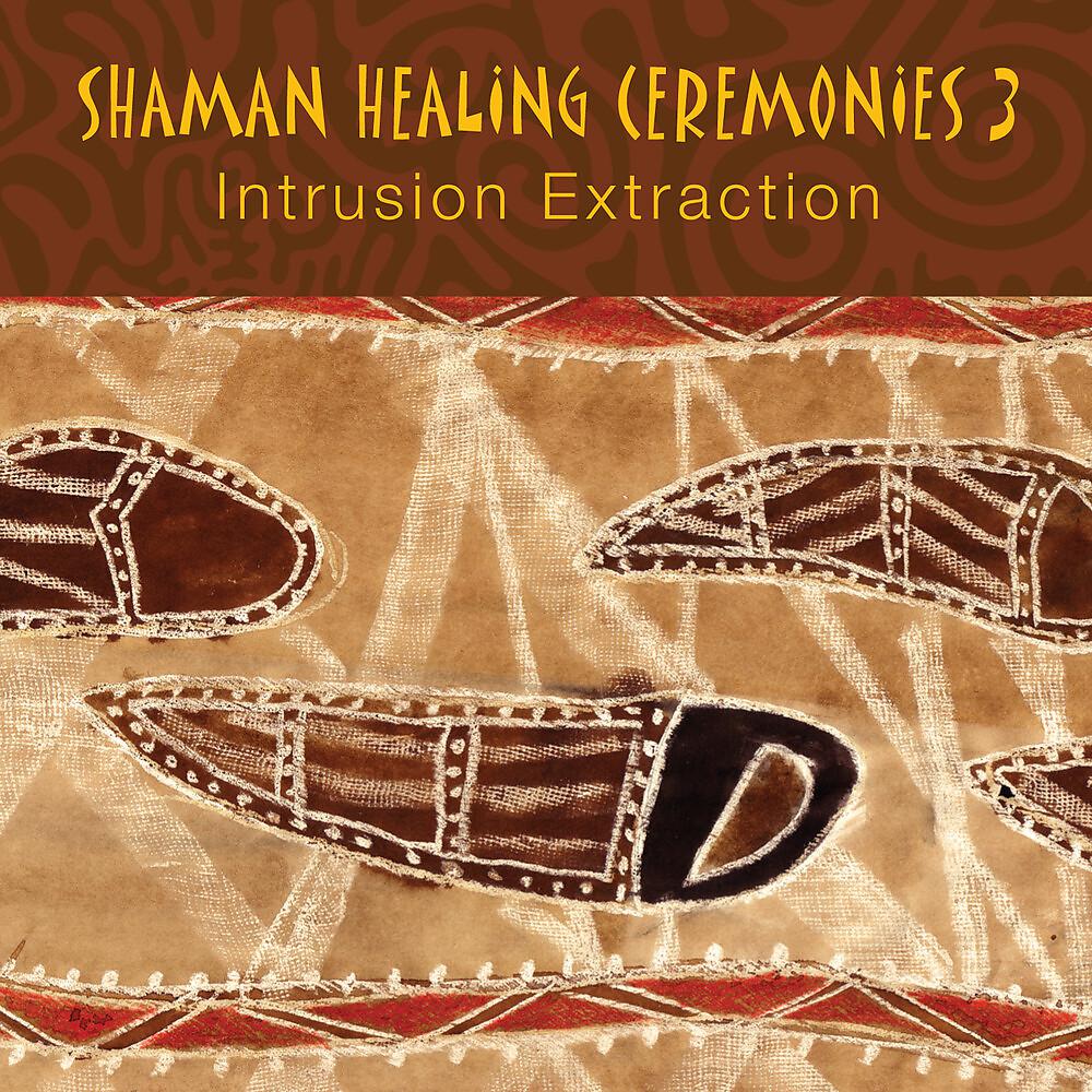Постер альбома Shaman Healing Ceremonies, Pt. 3