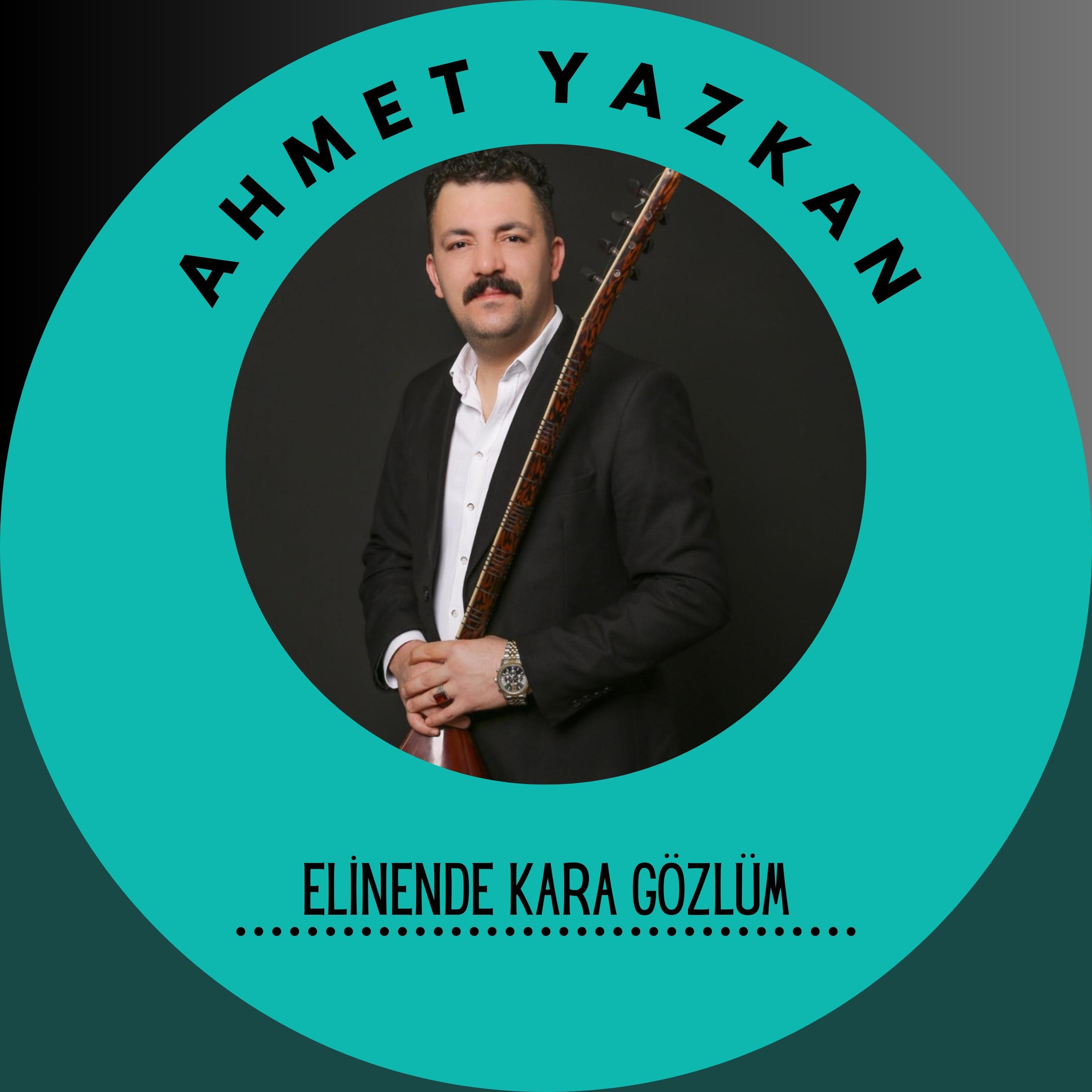 Постер альбома Elinende Kara Gözlüm