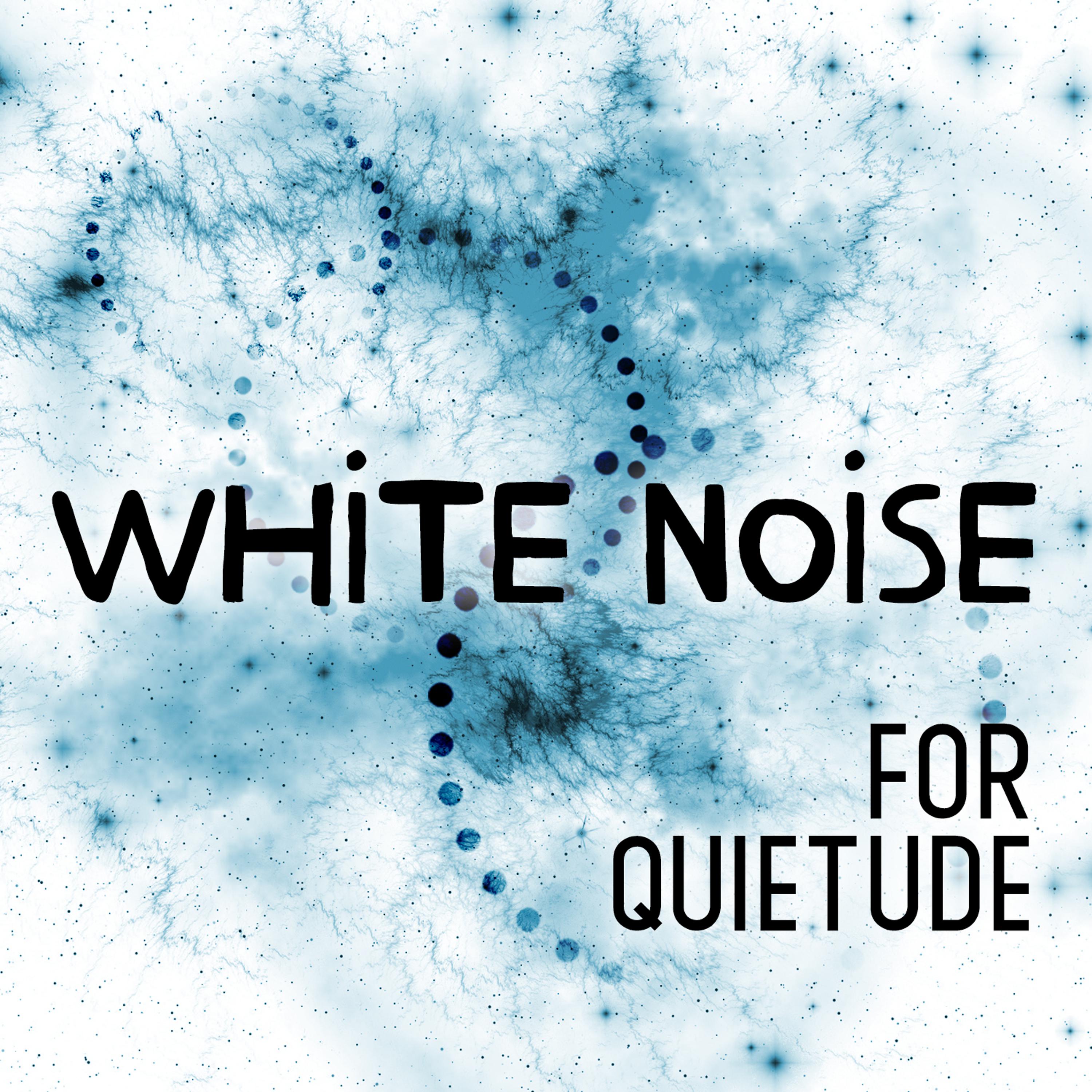 Постер альбома White Noise for Quietude