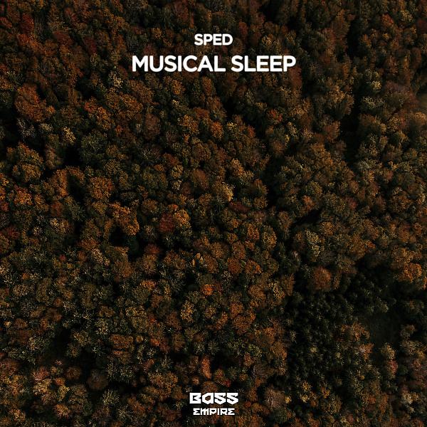 Постер альбома Musical Sleep