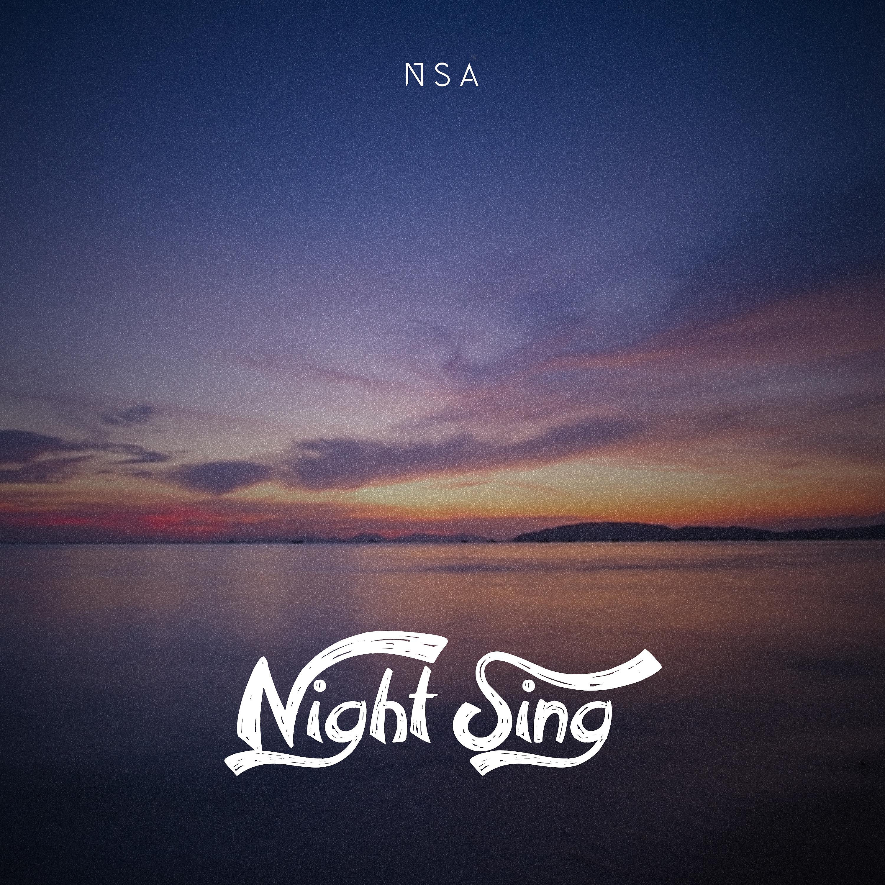Постер альбома Night Sing