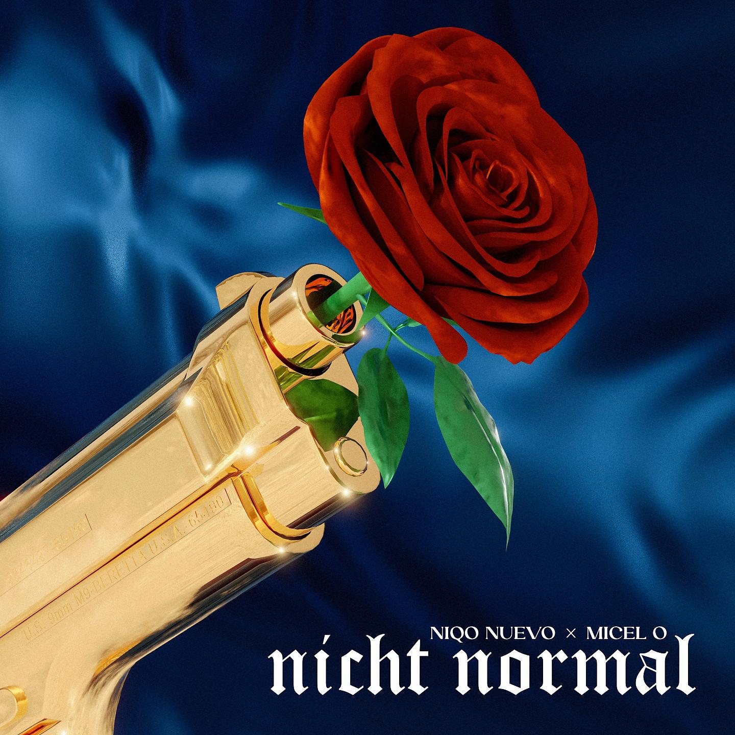 Постер альбома Nicht Normal