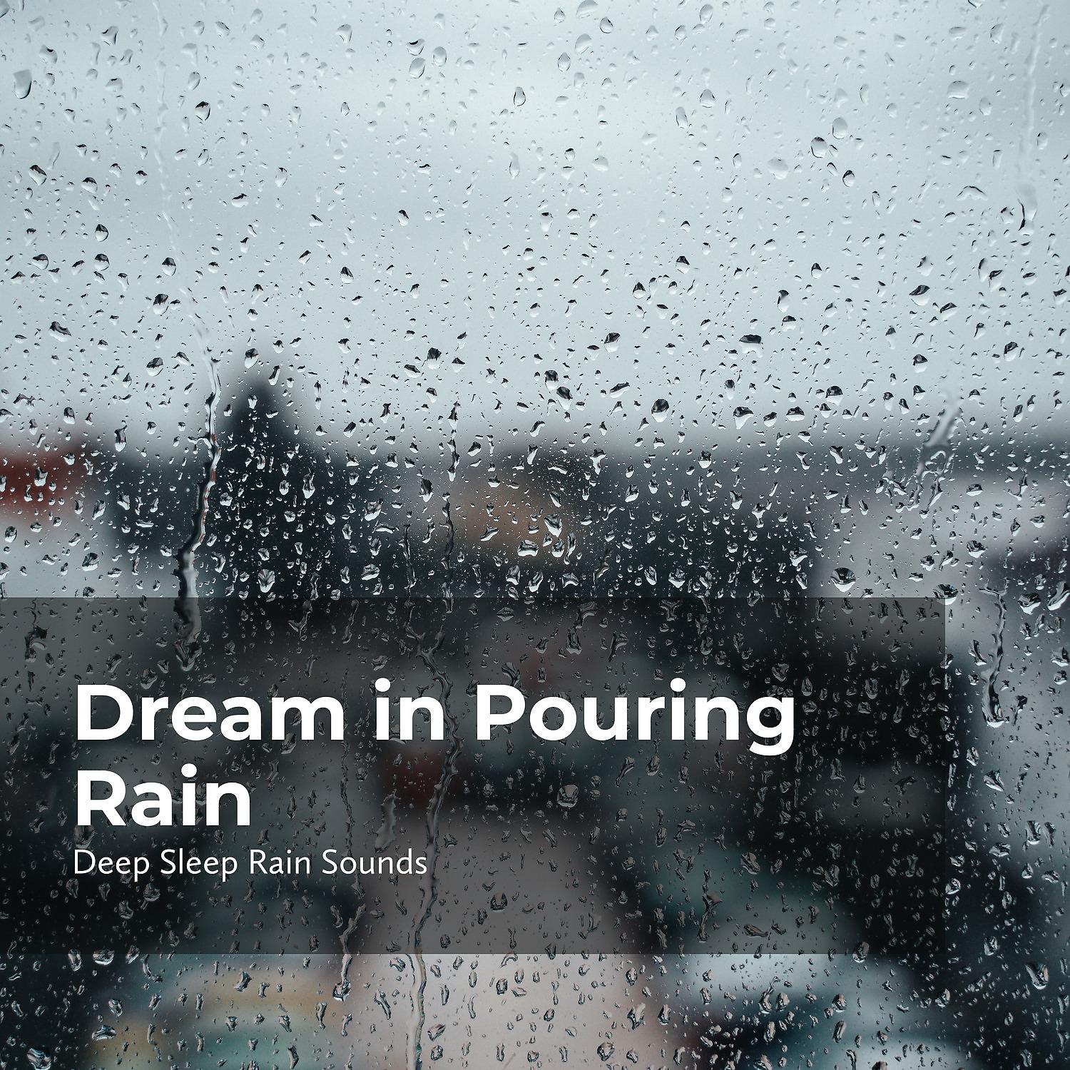 Постер альбома Dream in Pouring Rain
