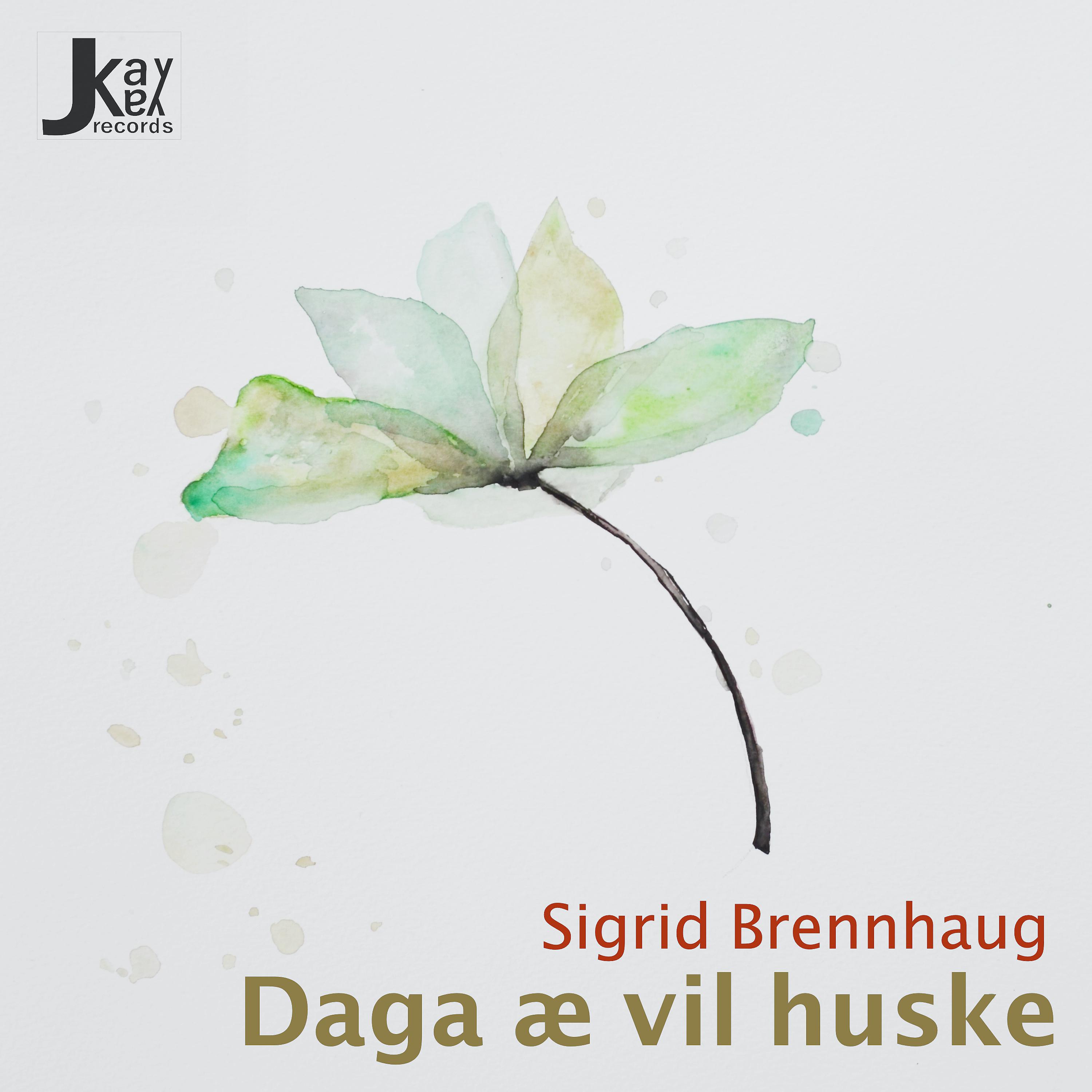 Постер альбома Daga Æ Vil Huske