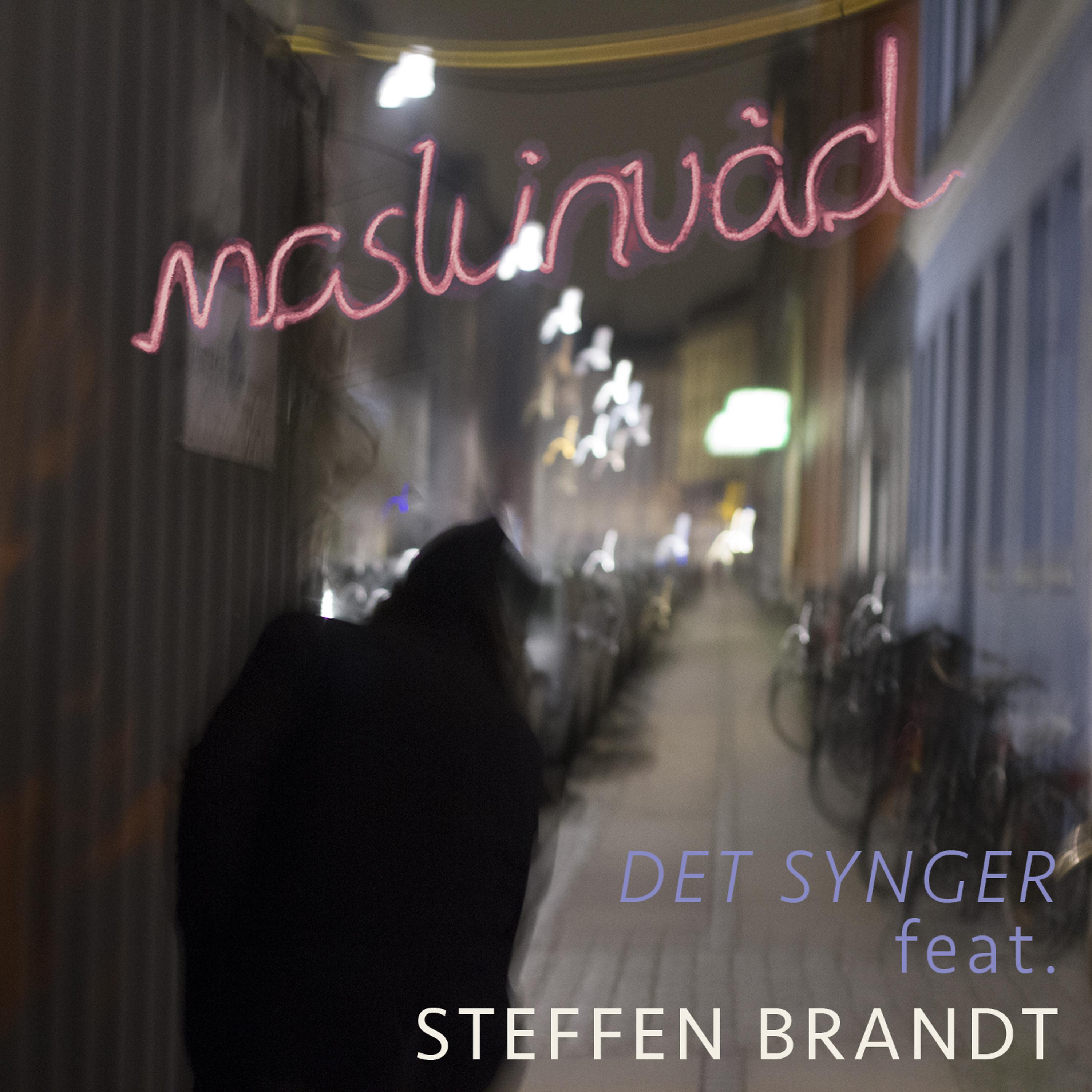Постер альбома Det Synger (feat. Steffen Brandt)