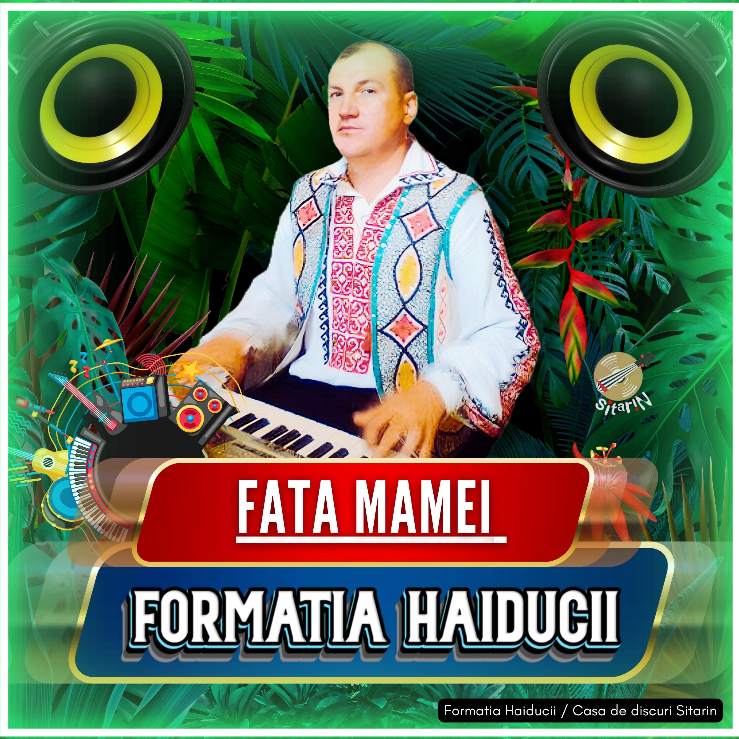 Постер альбома Fata Mamei
