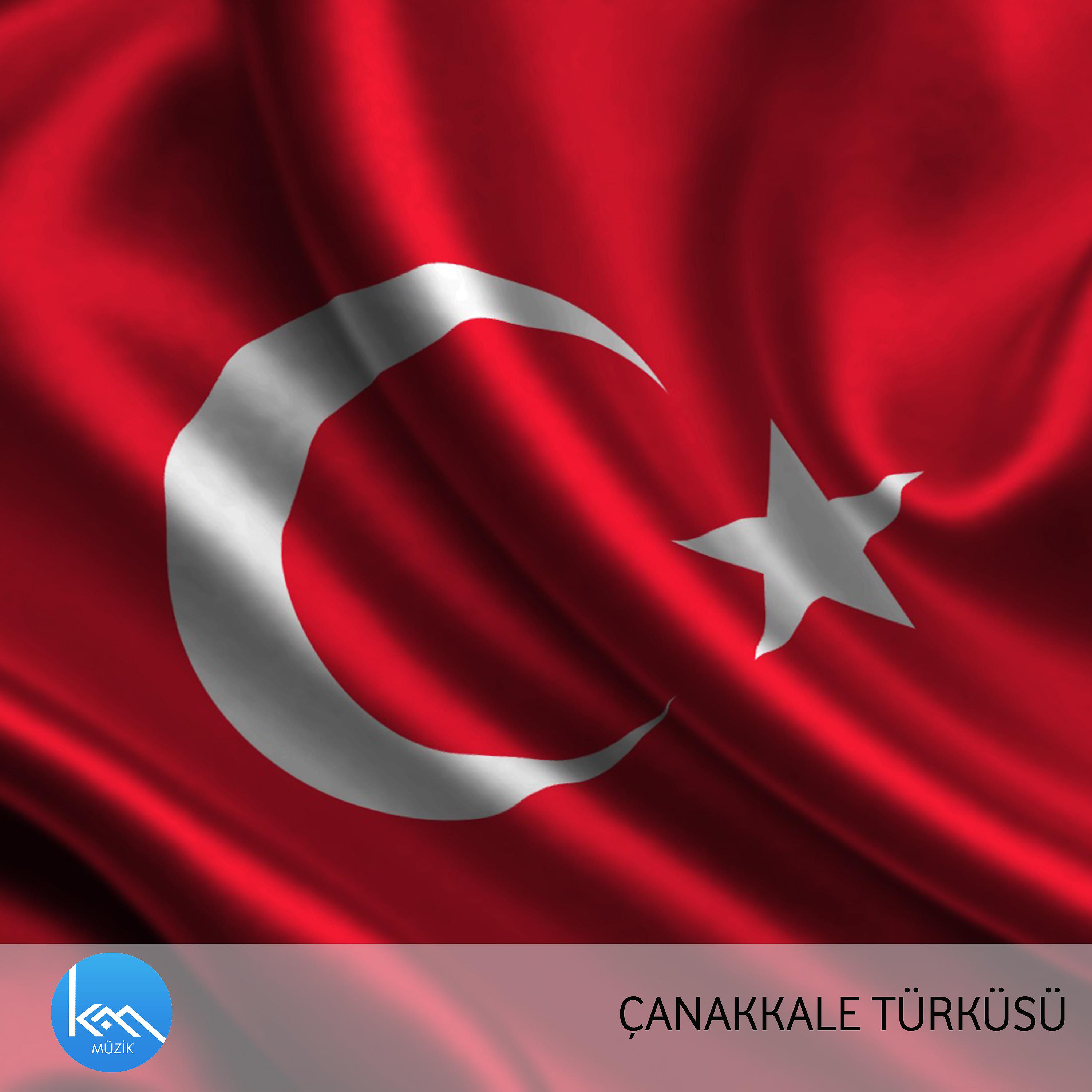 Постер альбома Çanakkale Türküsü