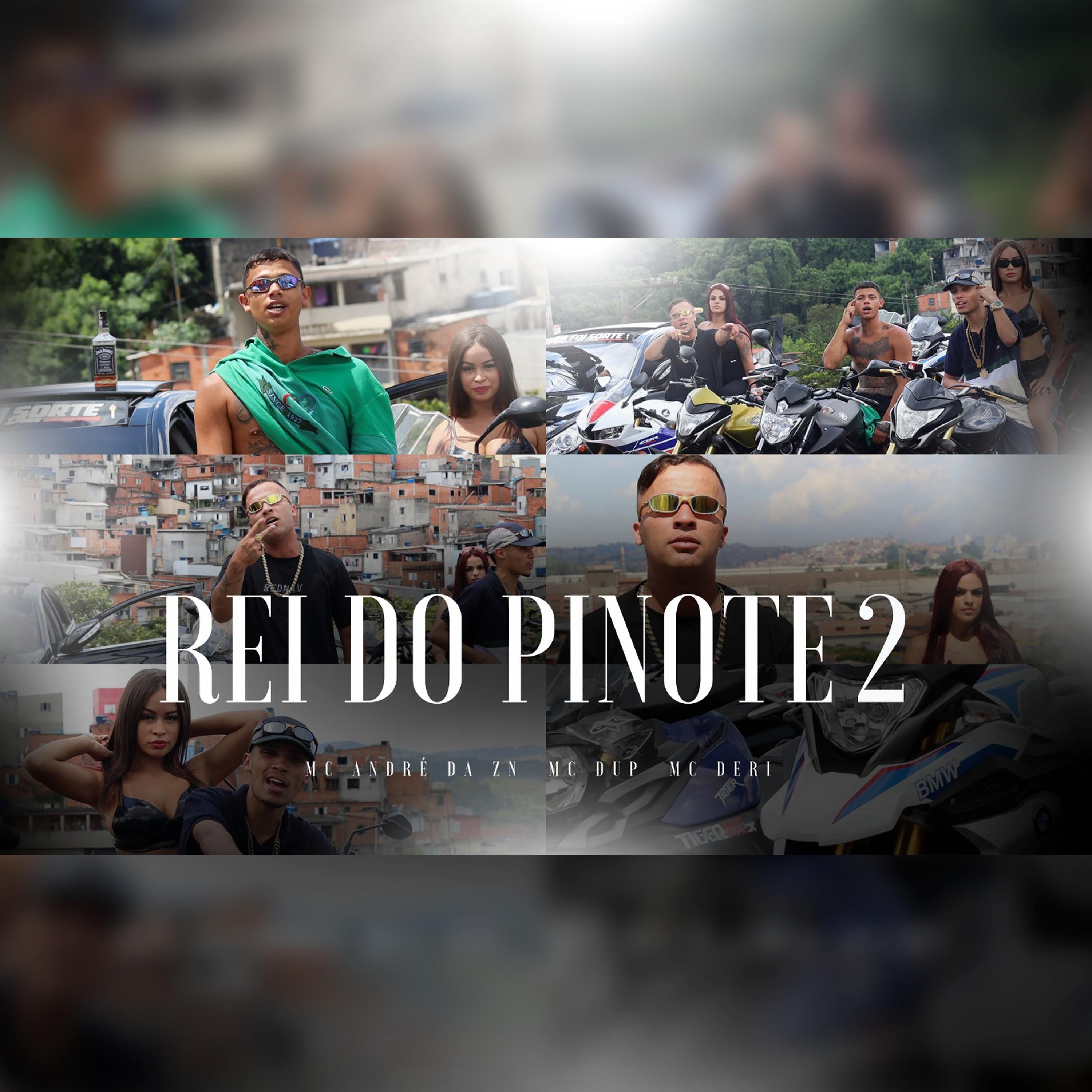 Постер альбома Rei do Pinote 2