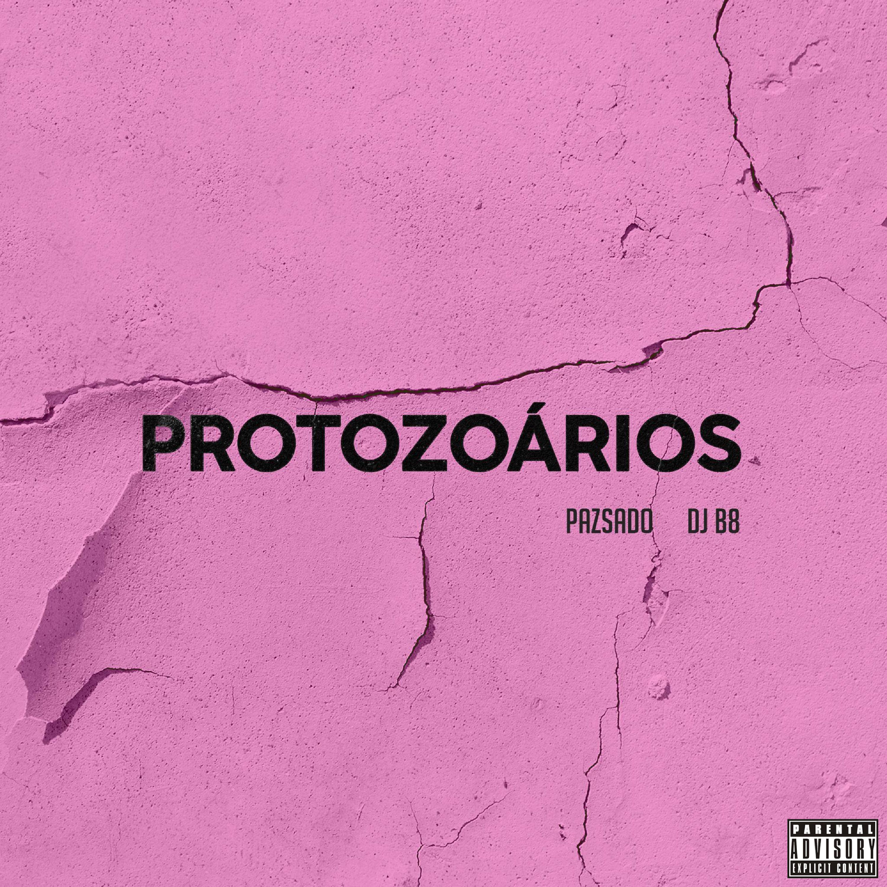 Постер альбома Protozoários