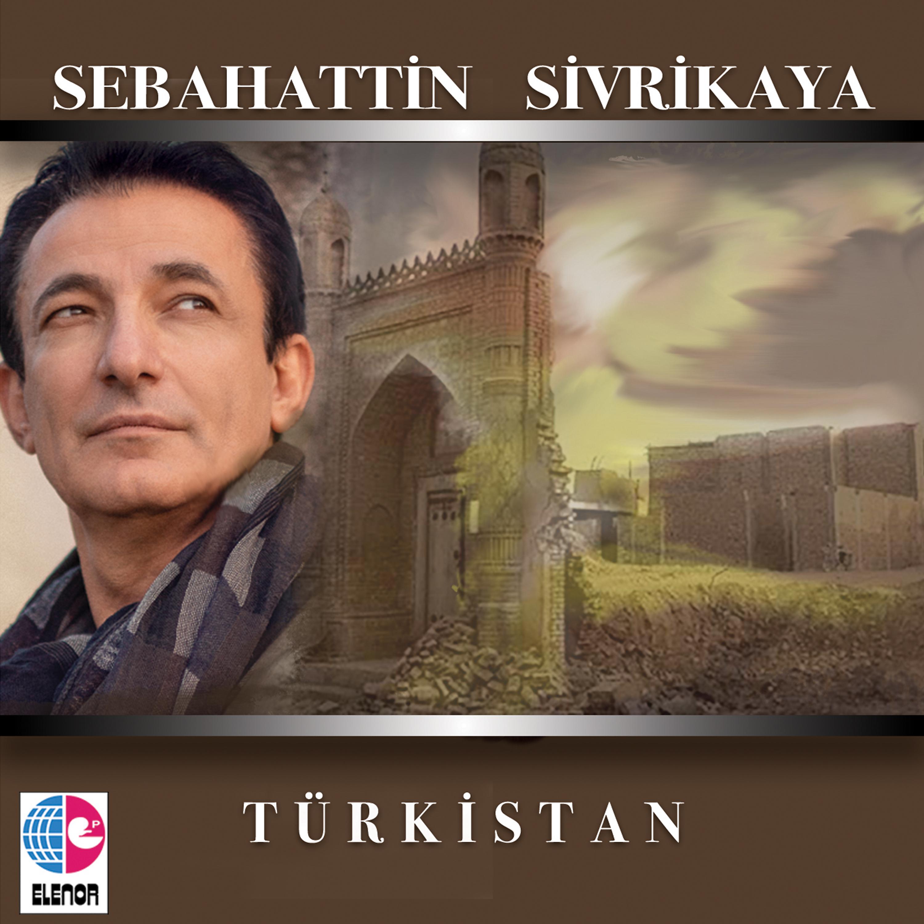 Постер альбома Türkistan