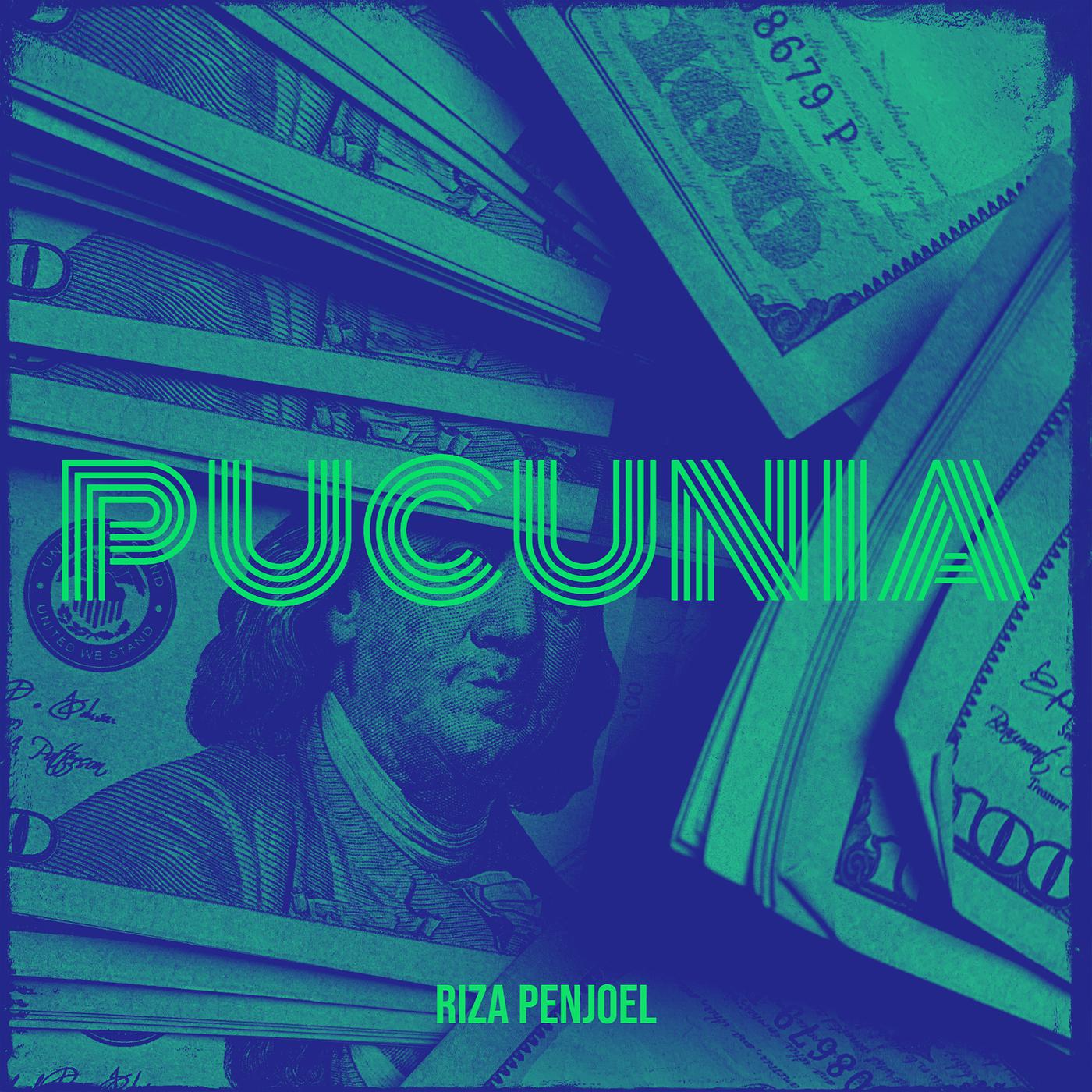 Постер альбома Pucunia