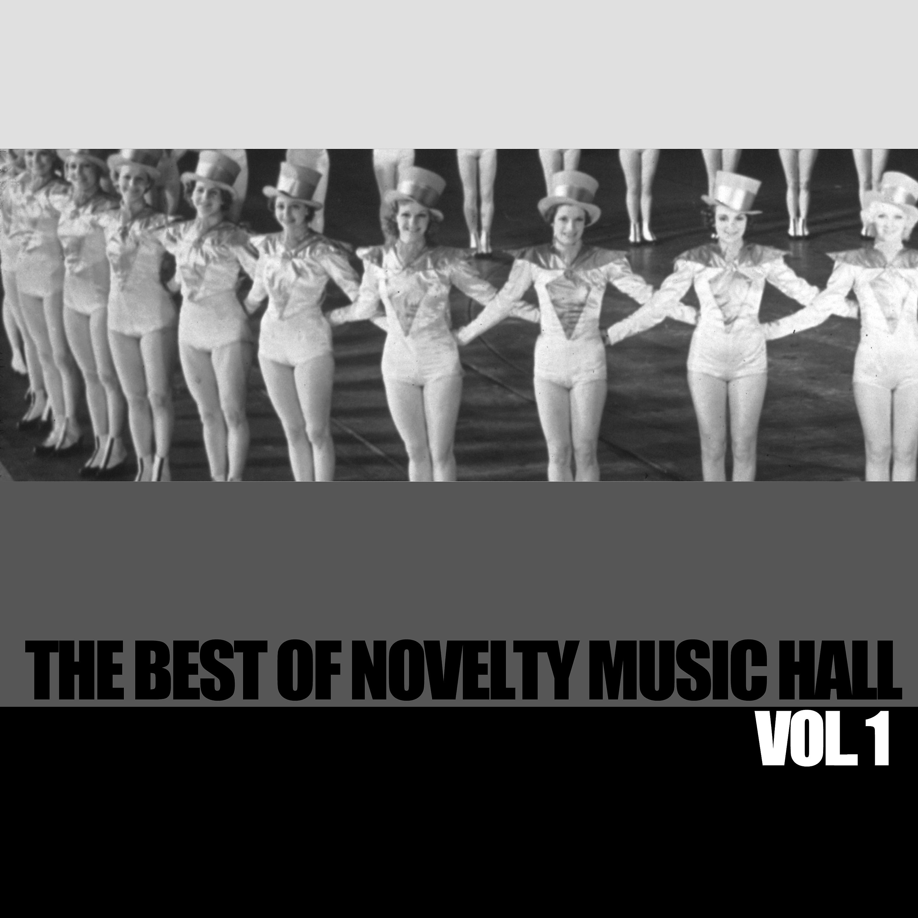 Постер альбома The Best of Novelty Music Hall, Vol. 1