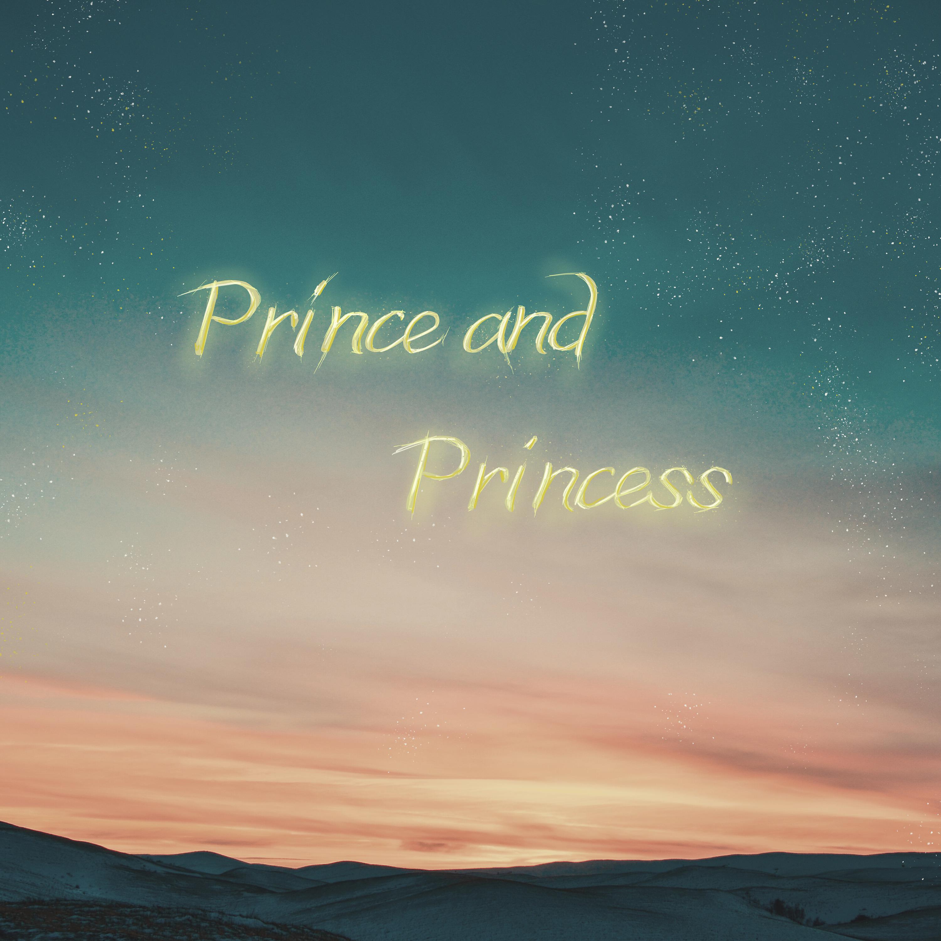Постер альбома Prince and Princess