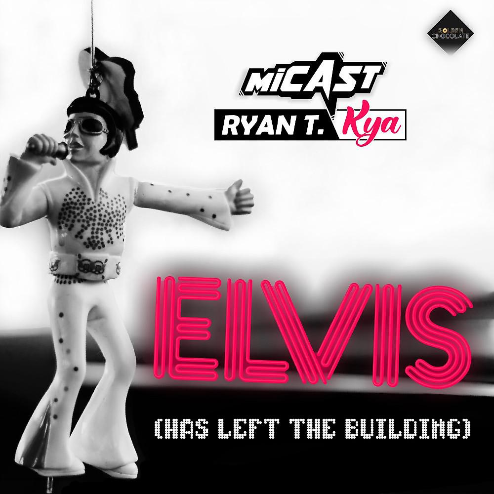 Постер альбома Elvis (Has Left the Building)