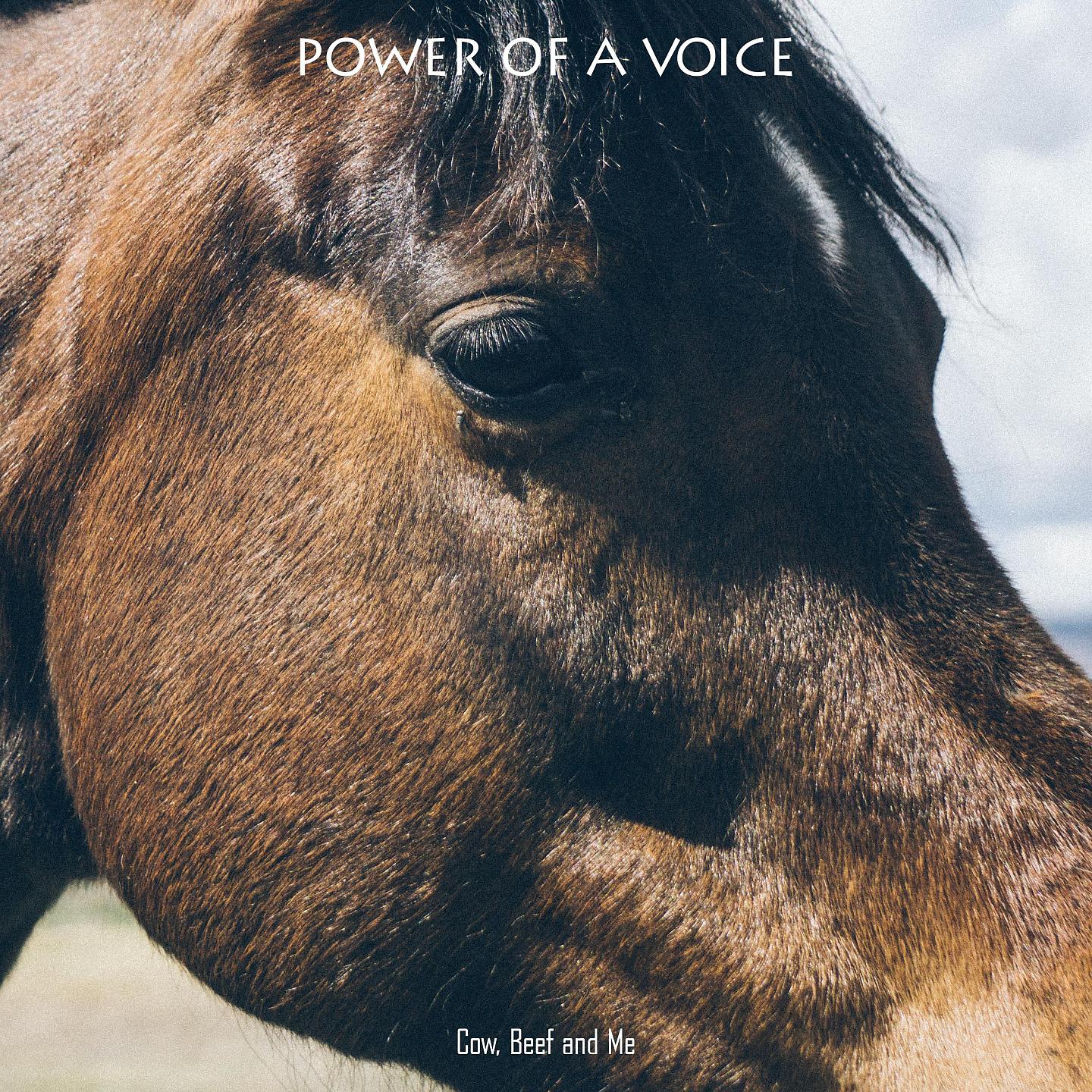 Постер альбома Power Of A Voice
