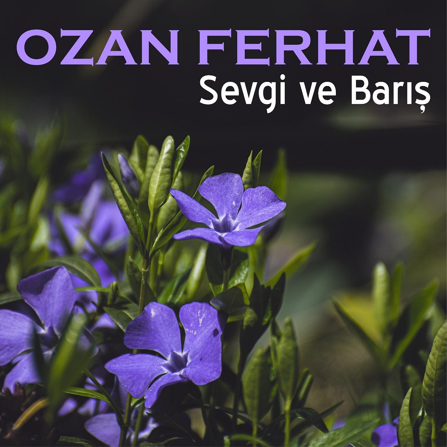 Постер альбома Sevgi Ve Barış