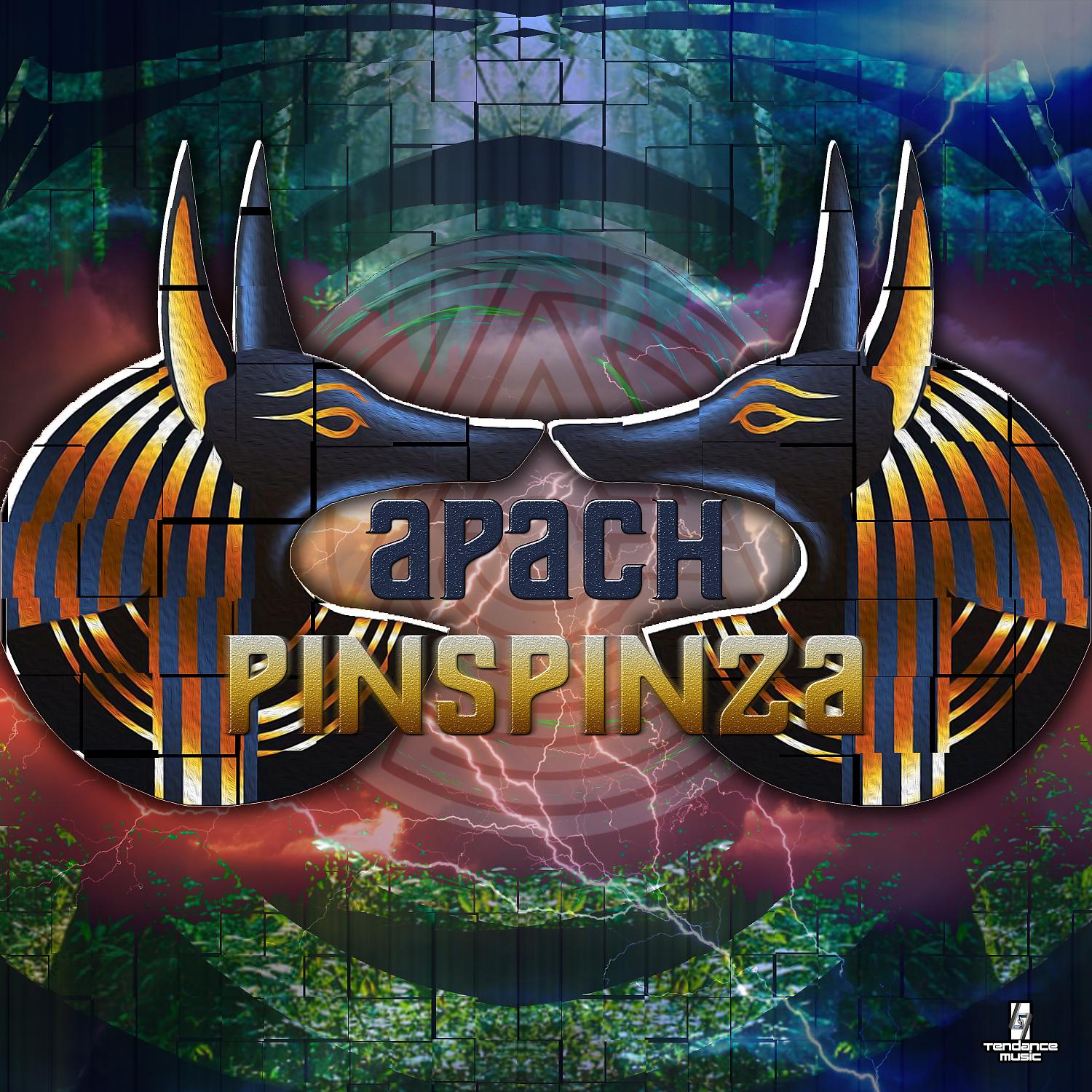 Постер альбома Pinspinza