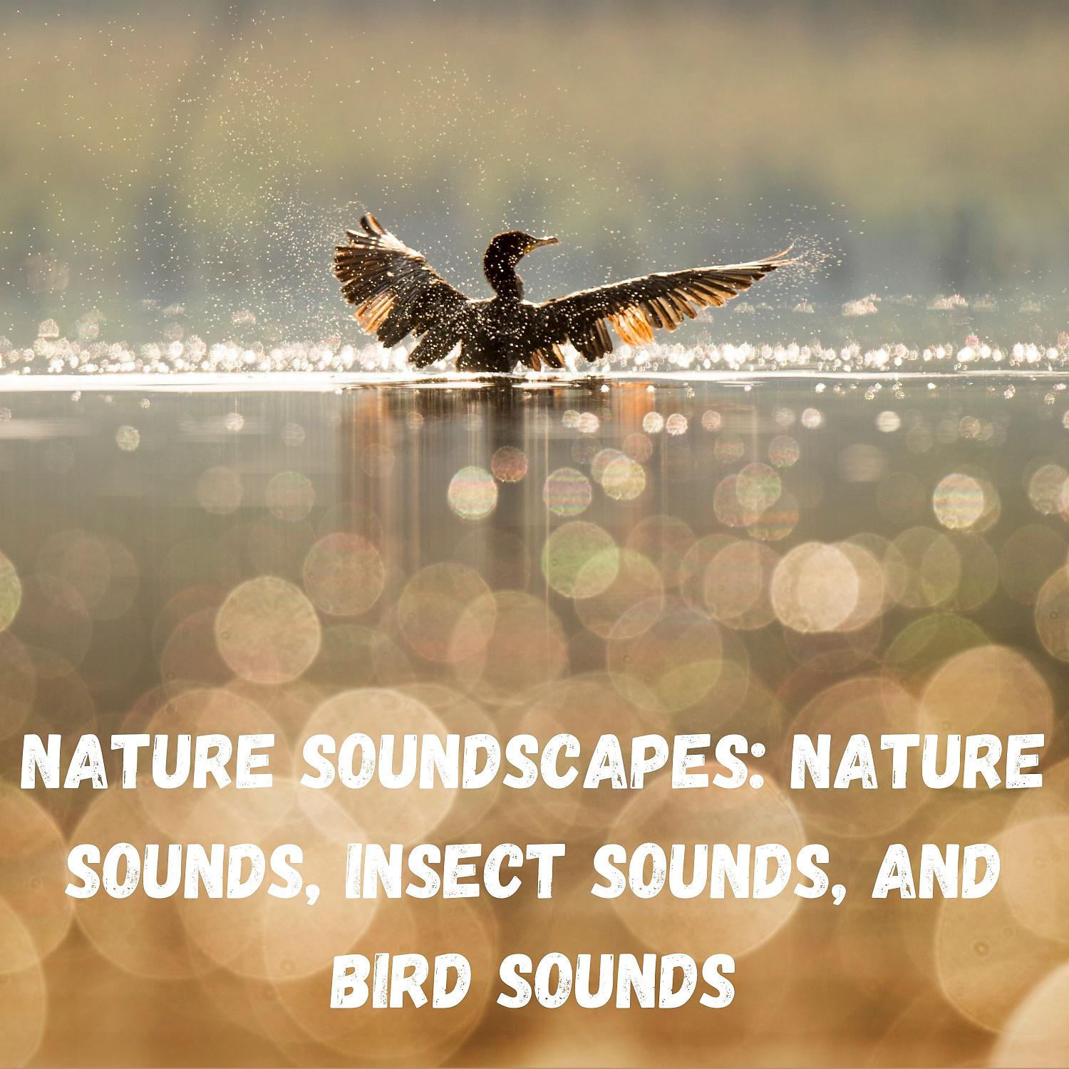 Постер альбома Nature Soundscapes: Nature Sounds, Insect Sounds, and Bird Sounds