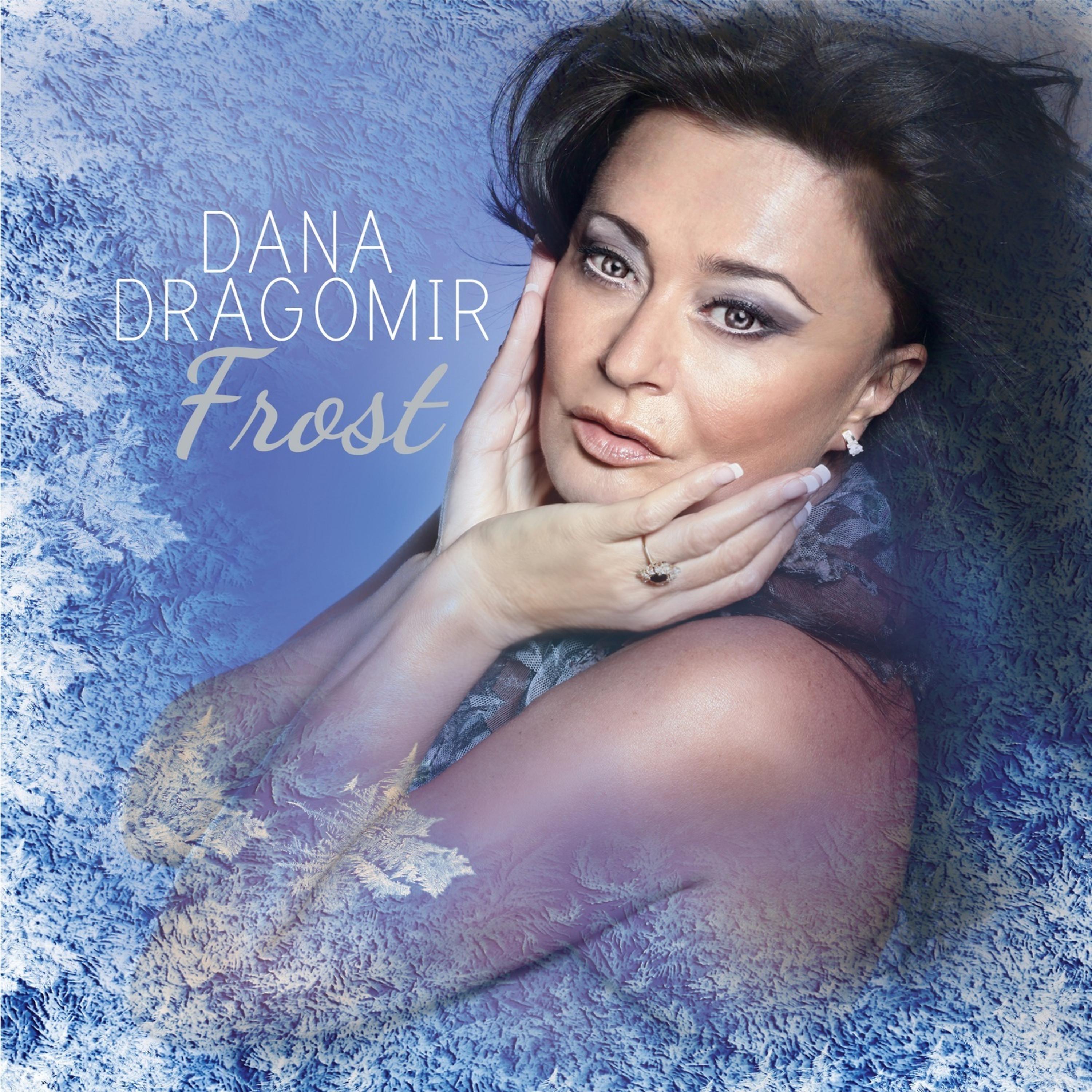 Постер альбома Frost - Pan Flute in Wintertime