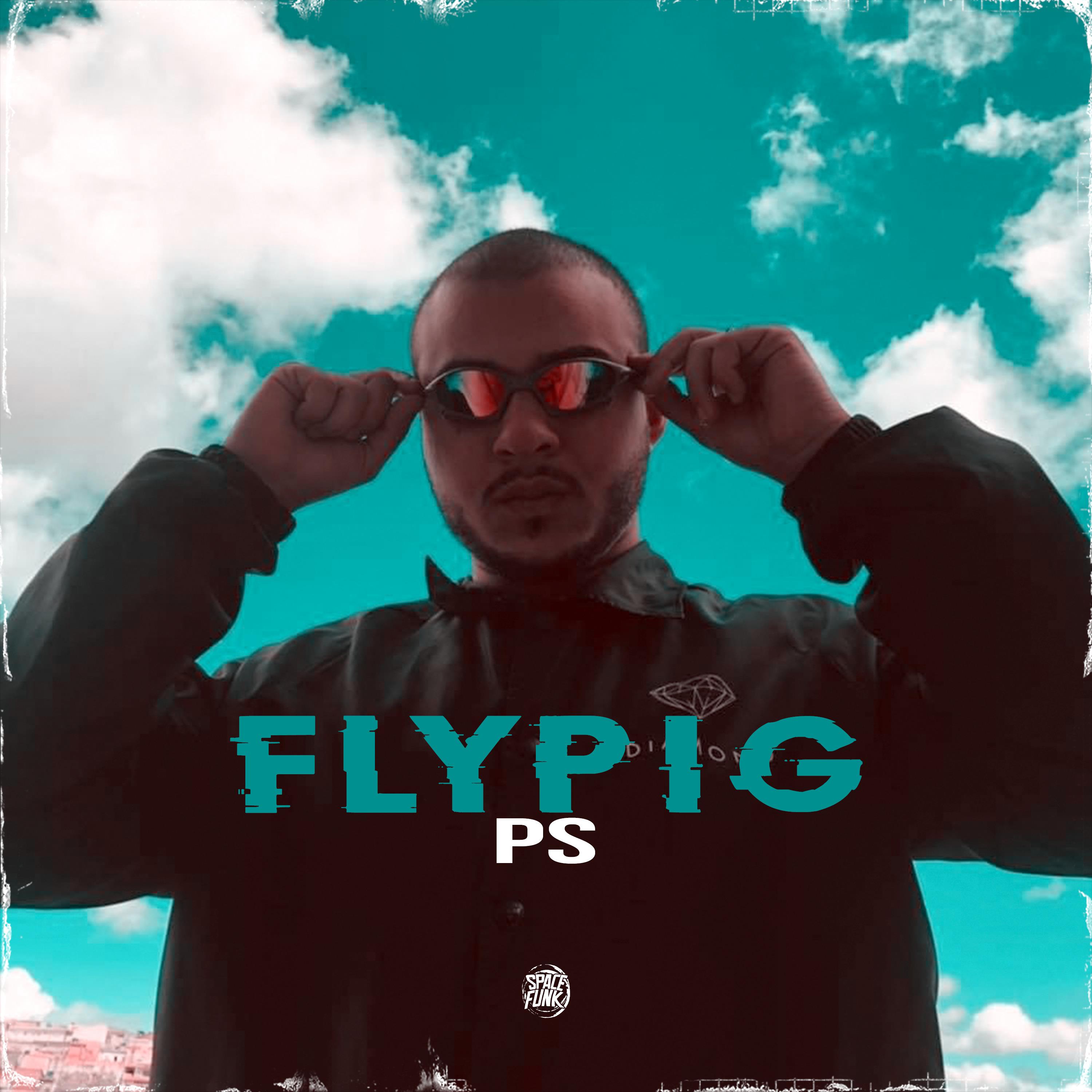 Постер альбома Flypig