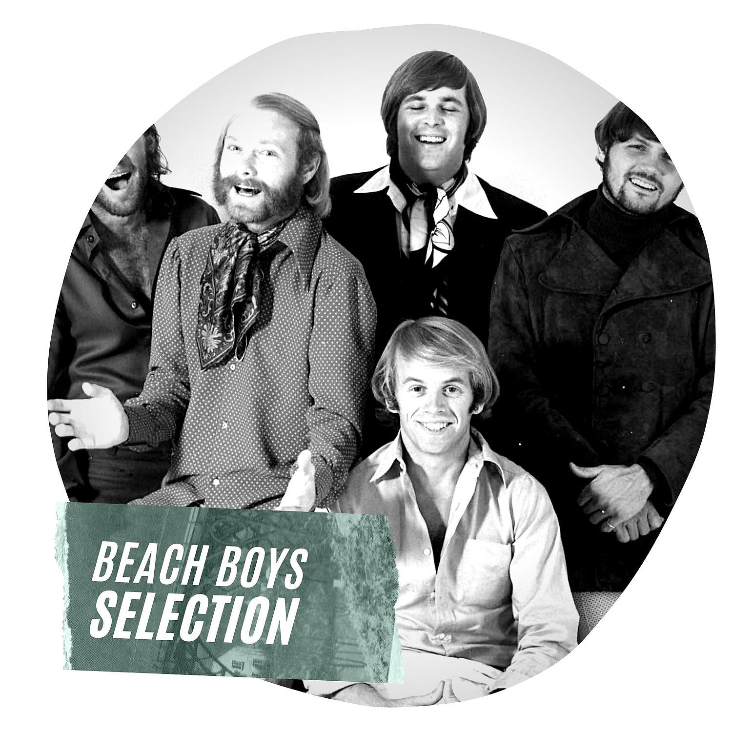 Постер альбома Beach Boys Selection