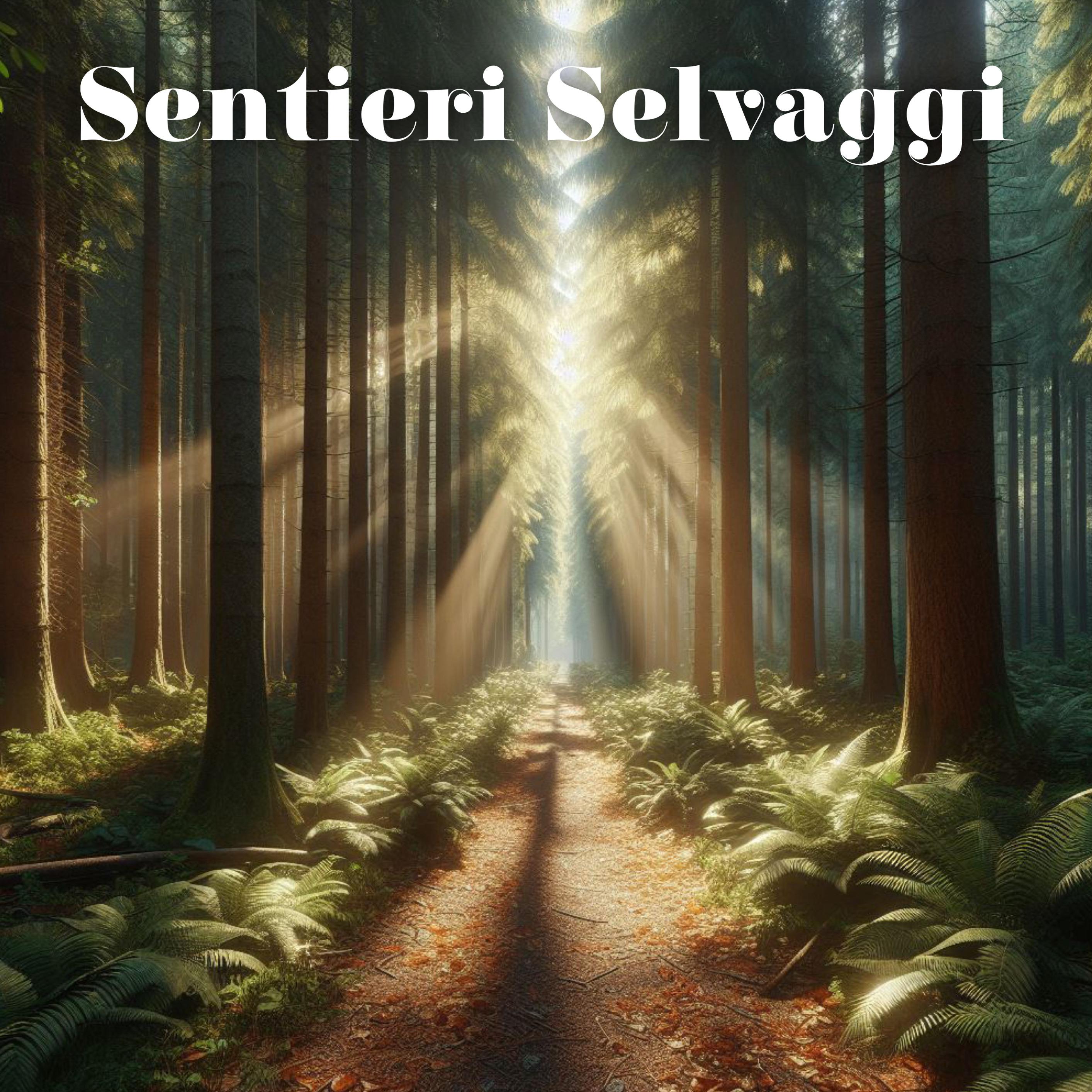 Постер альбома Sentieri Selvaggi