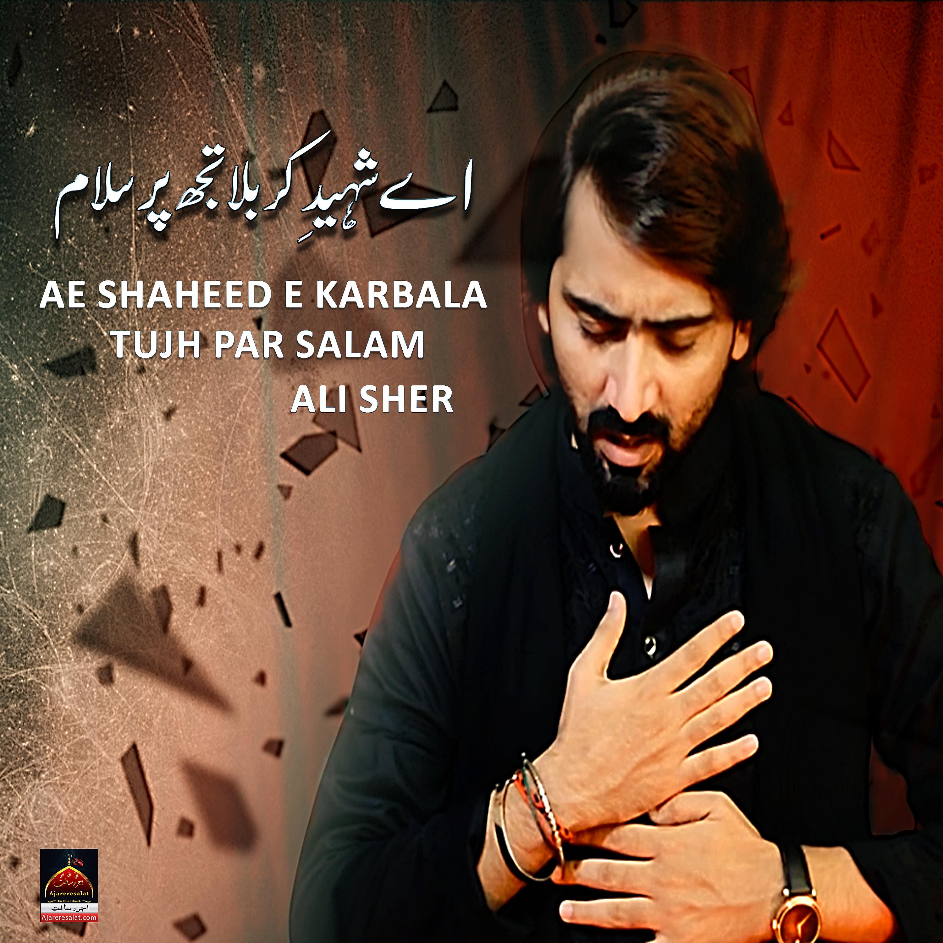 Постер альбома Ae Shaheed e Karbala Tujh Par Salam