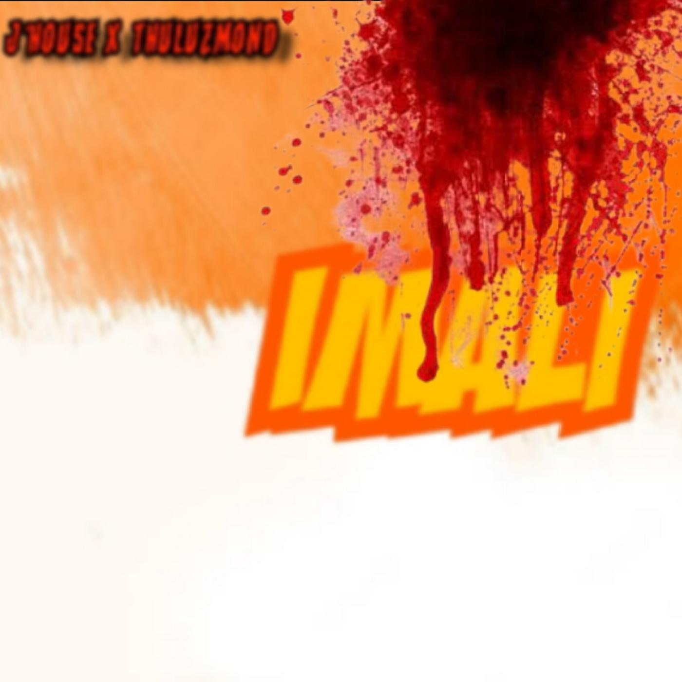 Постер альбома IMALI (feat. Thuluzmond)