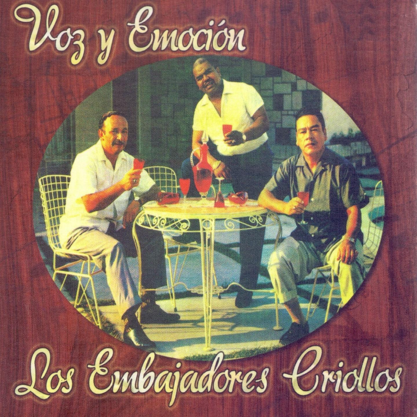 Постер альбома Voz y Emoción