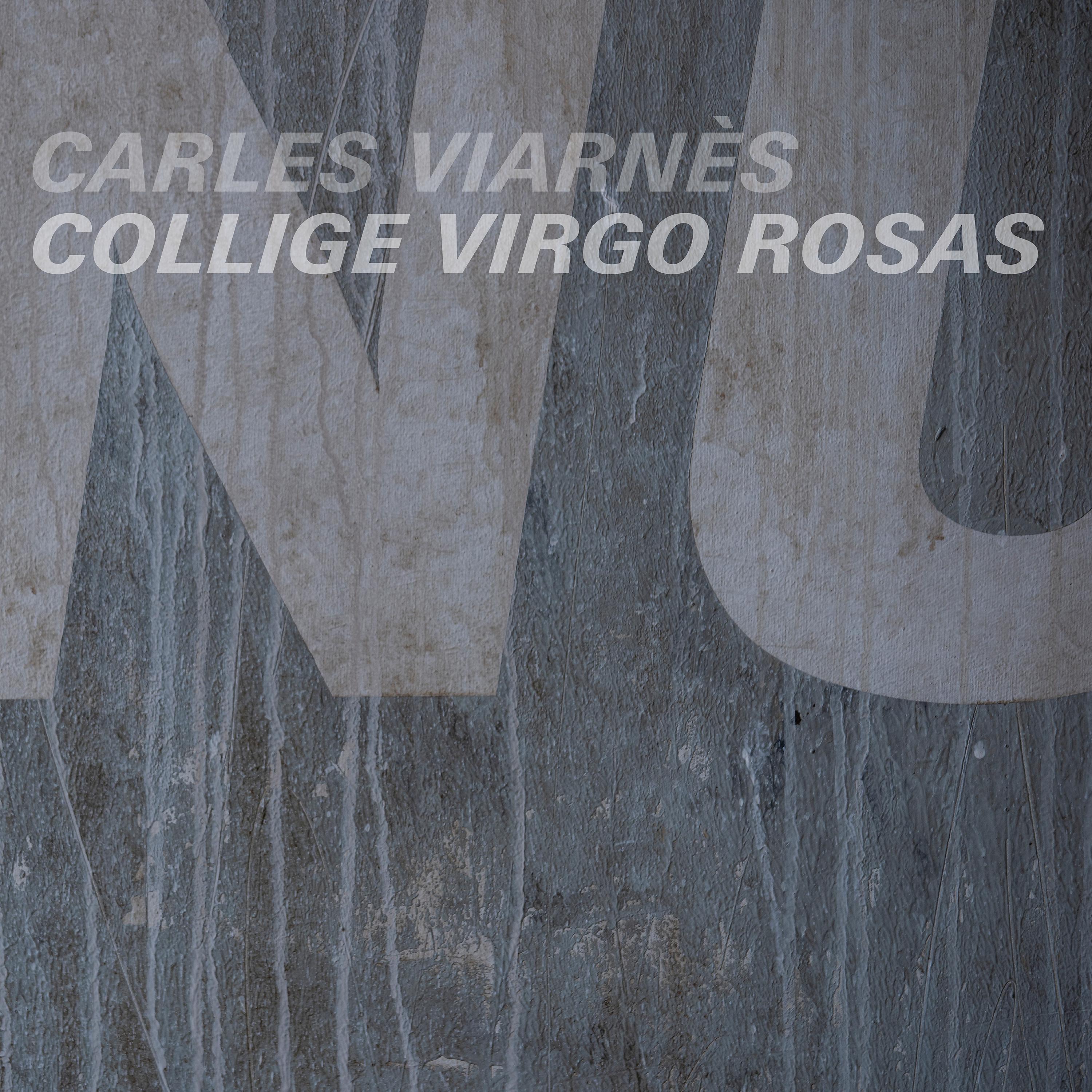Постер альбома Collige Virgo Rosas