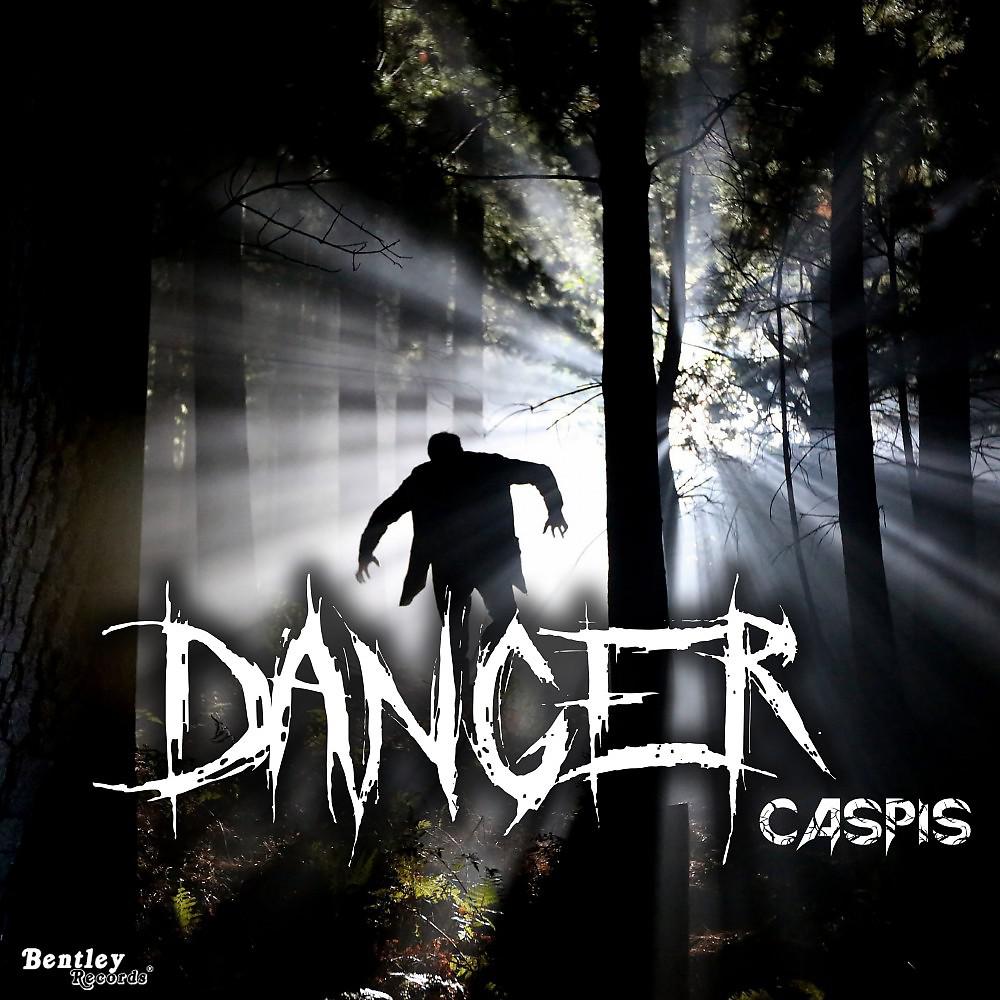Постер альбома Danger (Clean)