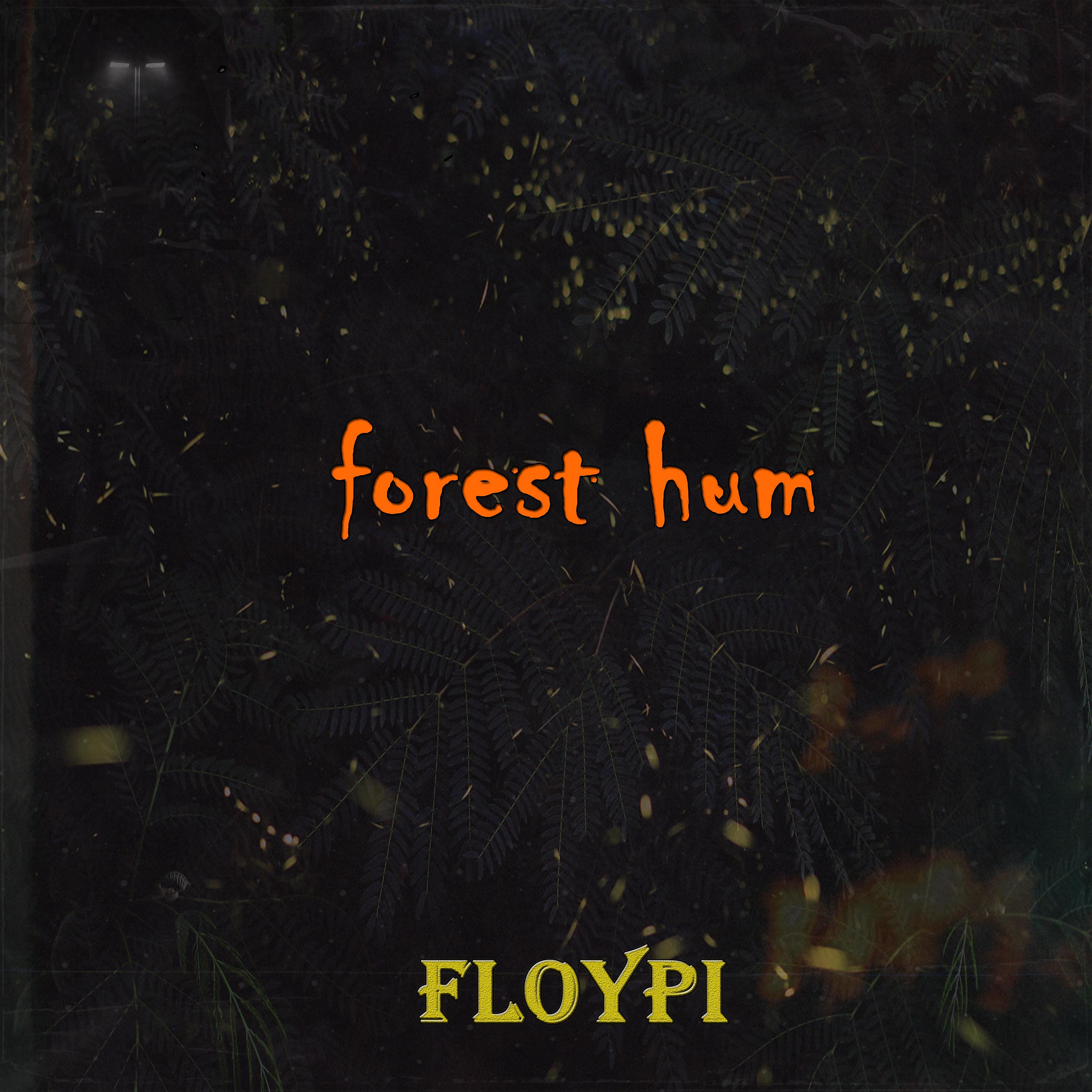 Постер альбома Forest Hum