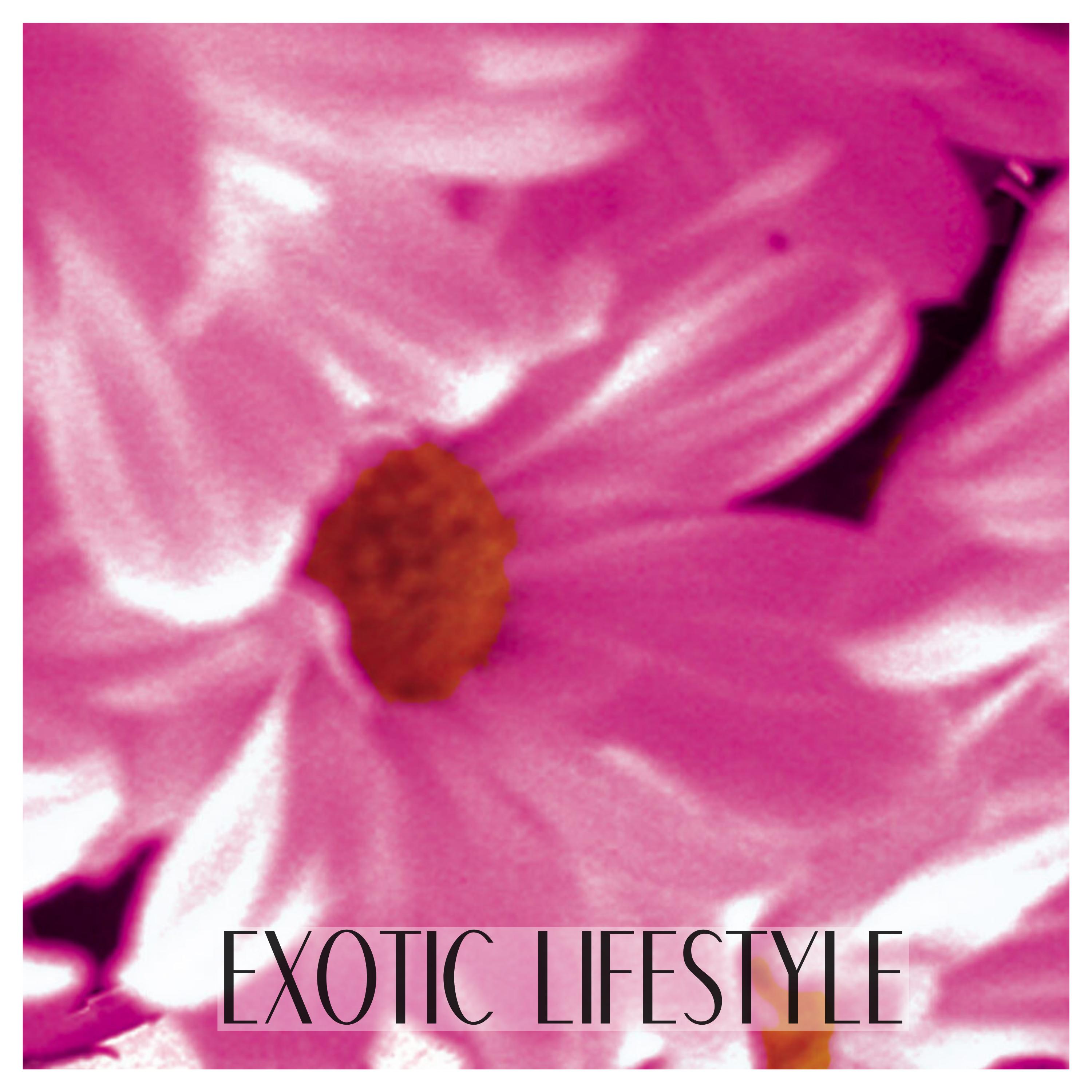 Постер альбома Exotic Lifestyle