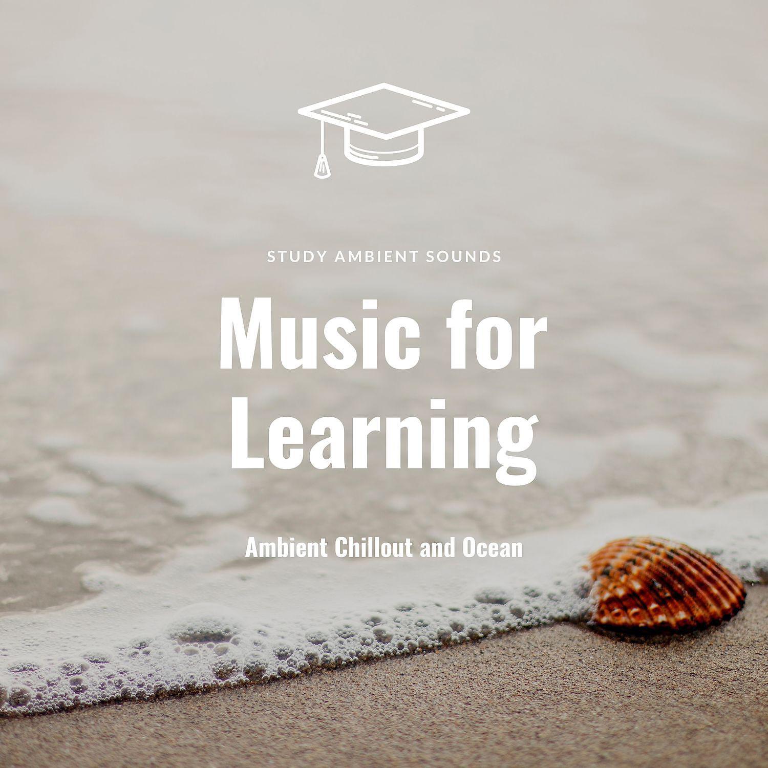 Постер альбома Music for Learning (Ambient Chillout and Ocean)