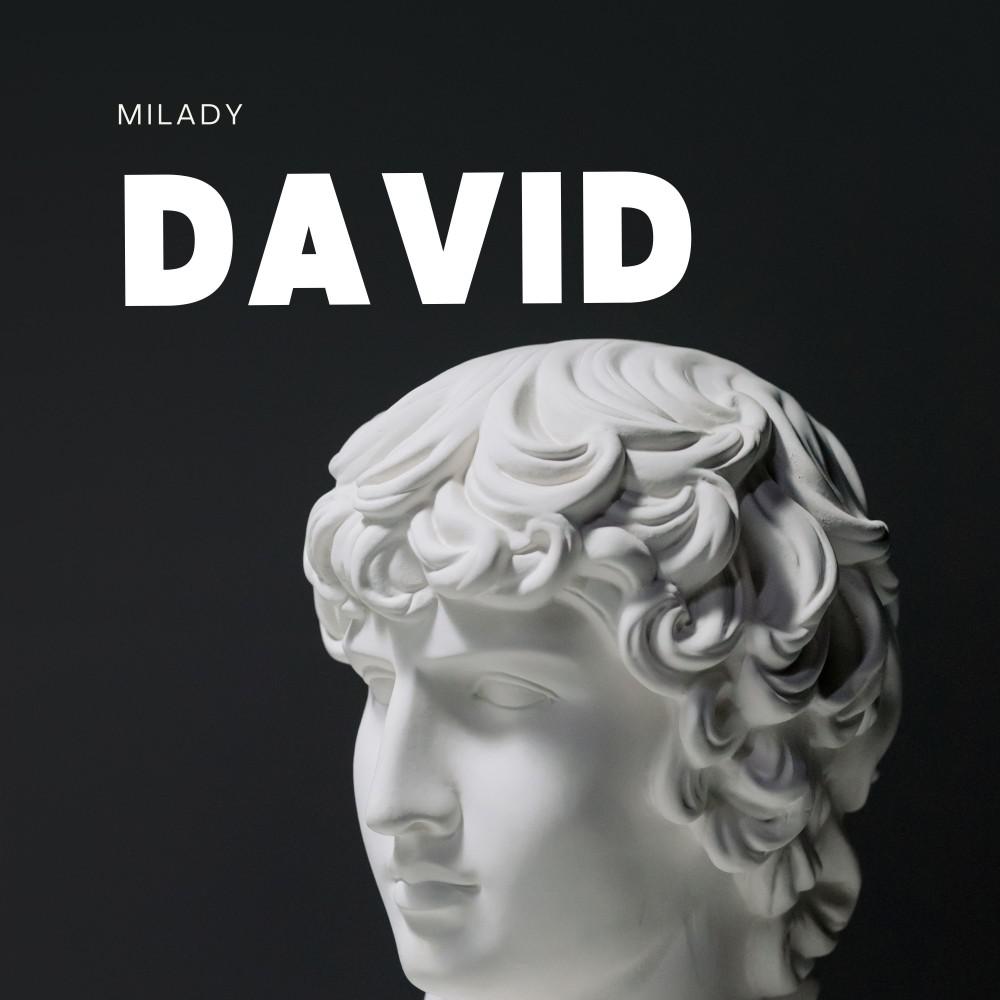 Постер альбома David