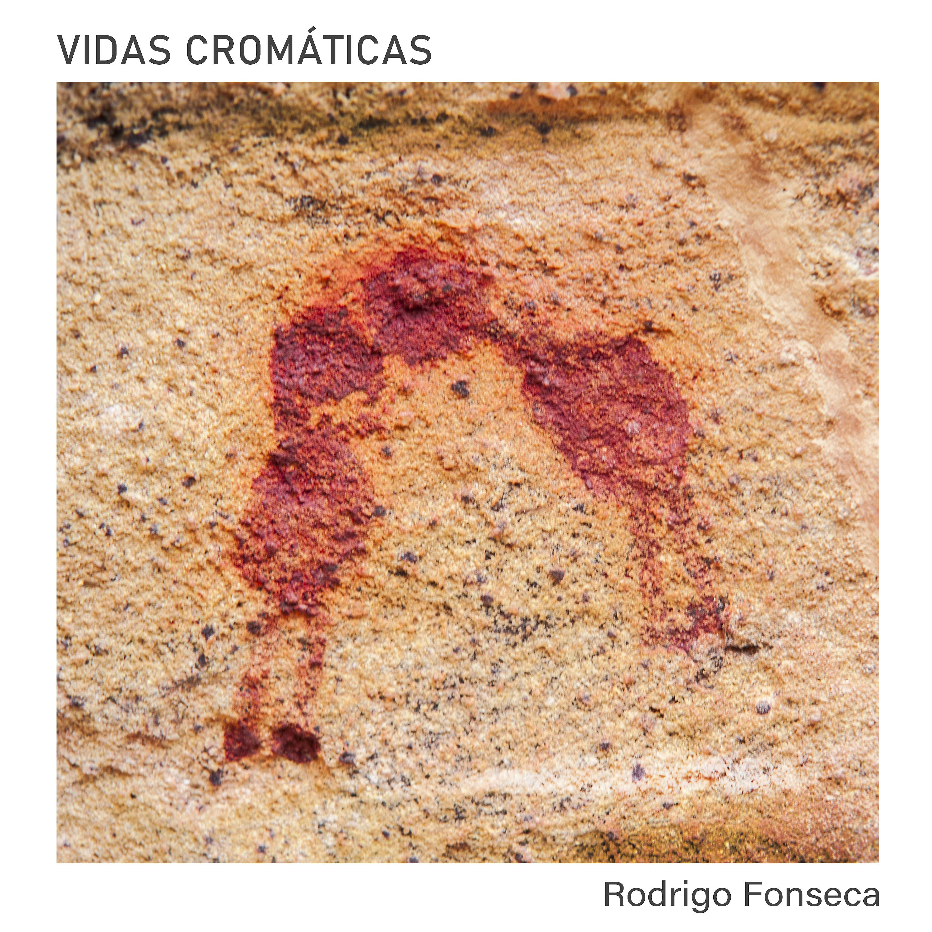 Постер альбома Vidas Cromáticas