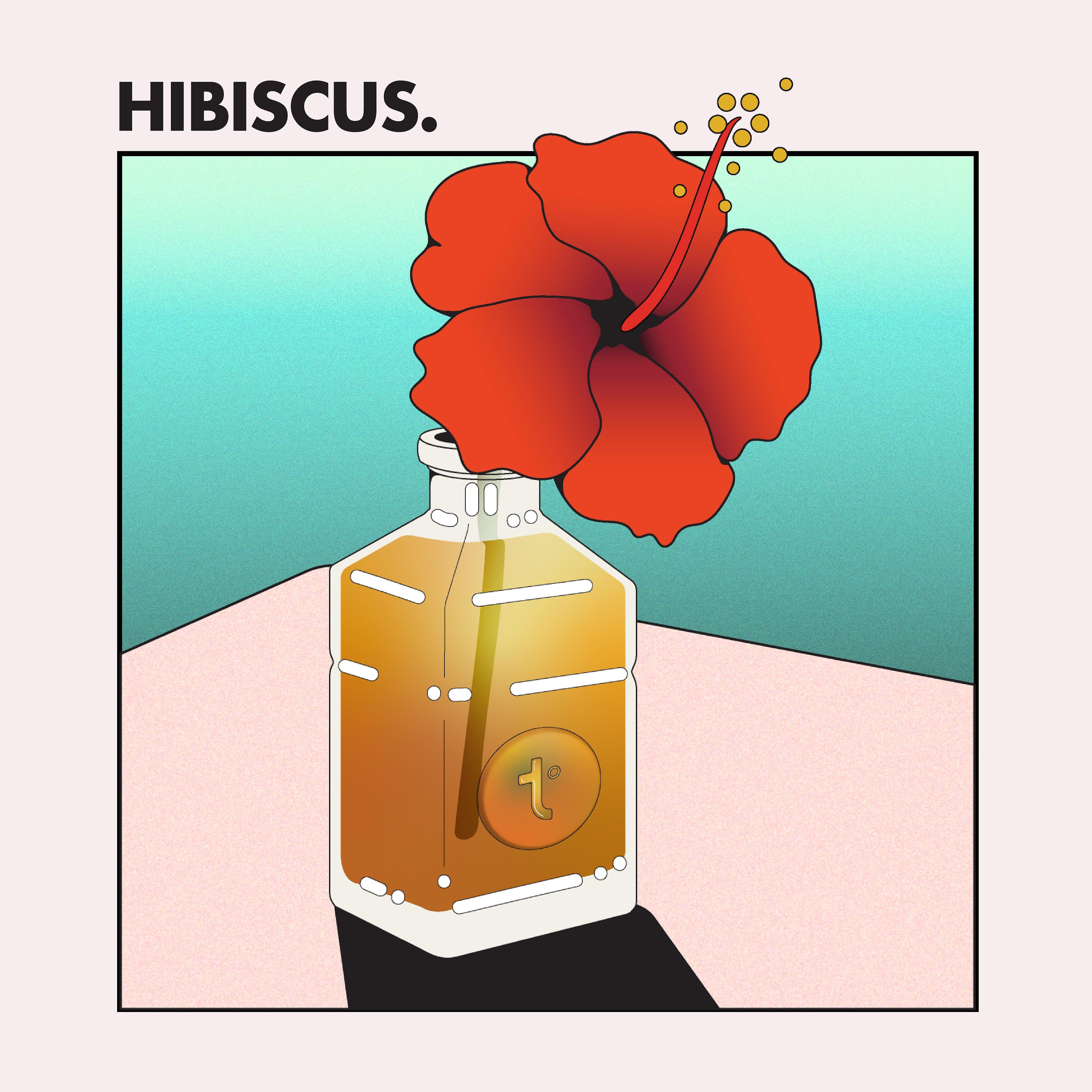Постер альбома HIBISCUS.