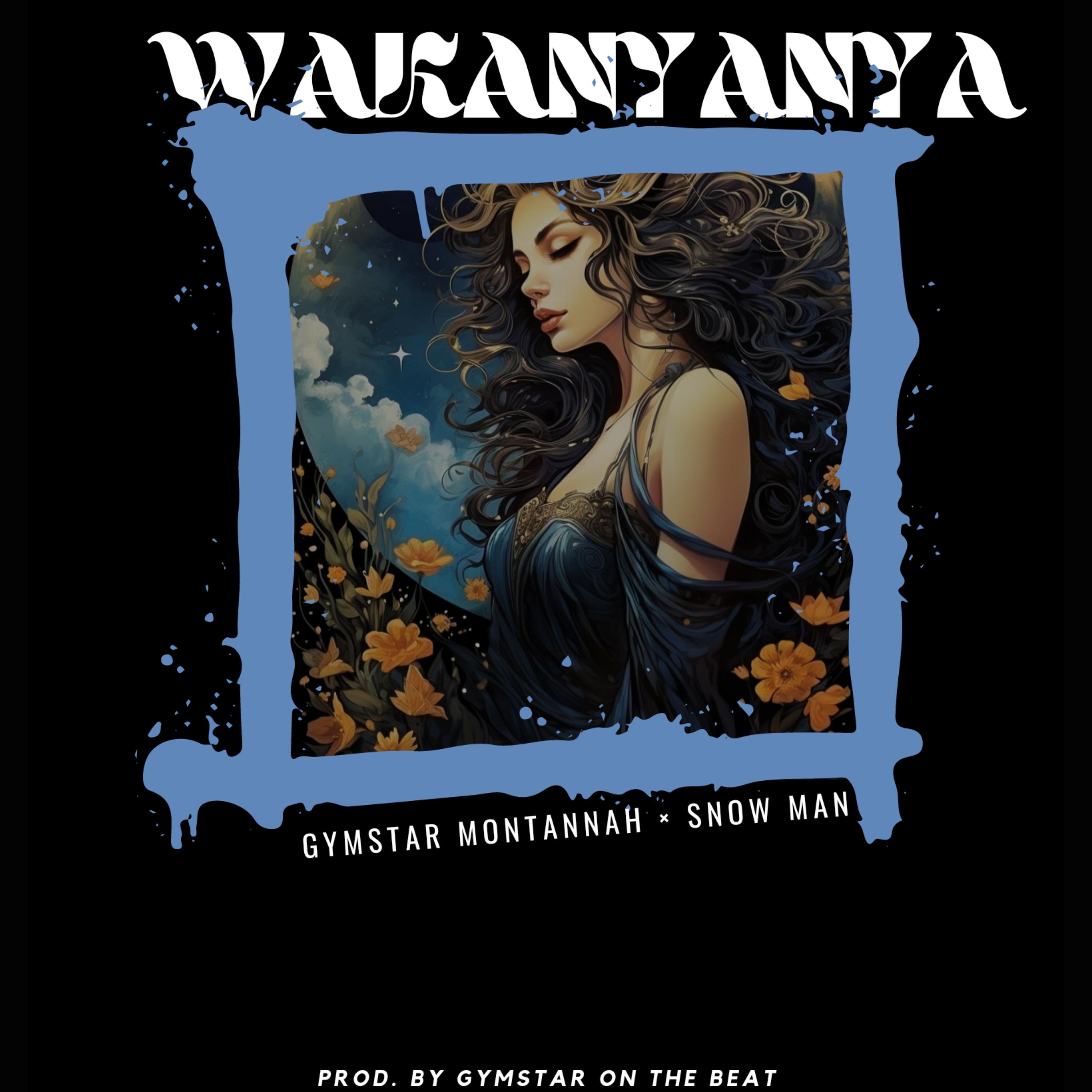 Постер альбома Wakanyanya