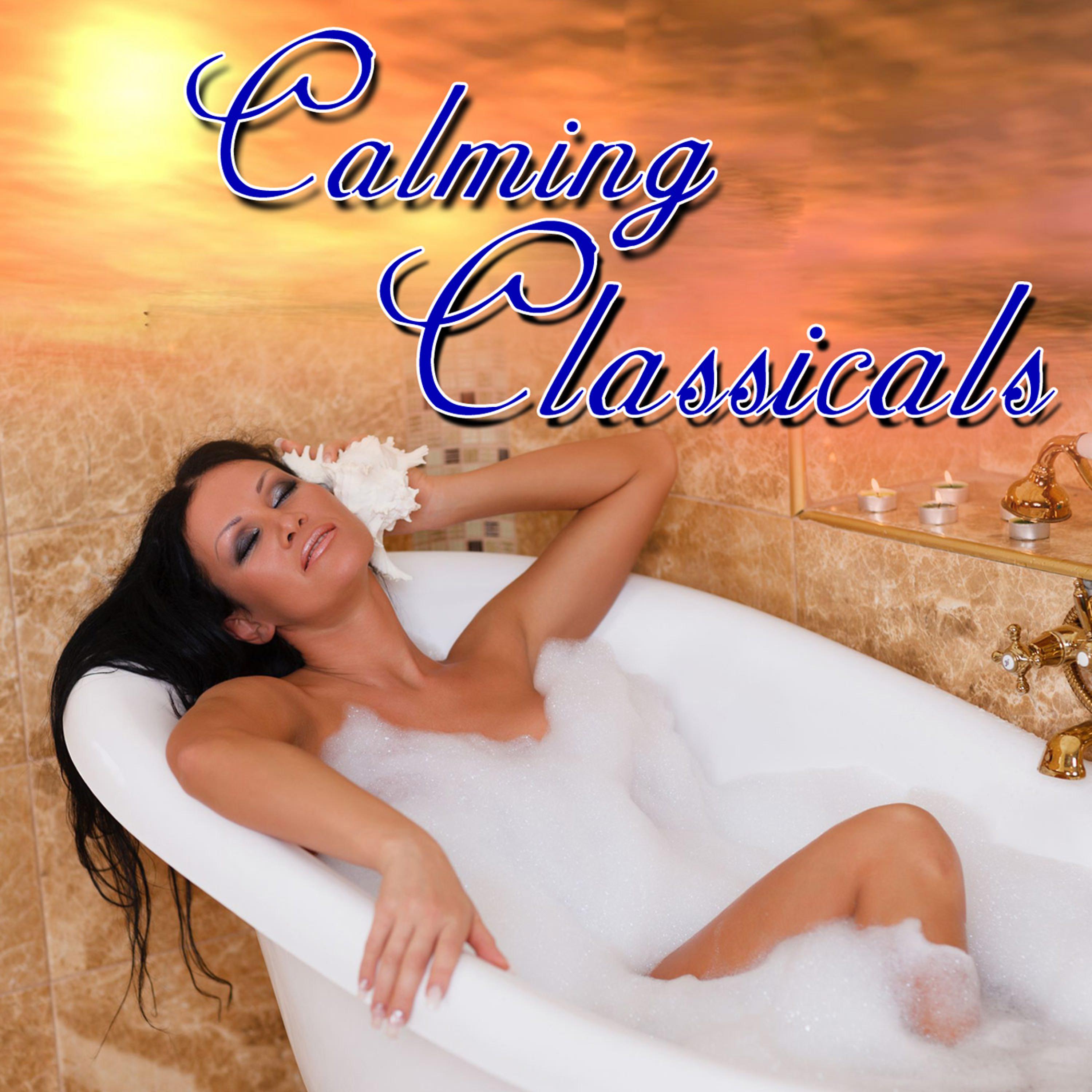 Постер альбома Calming Classicals