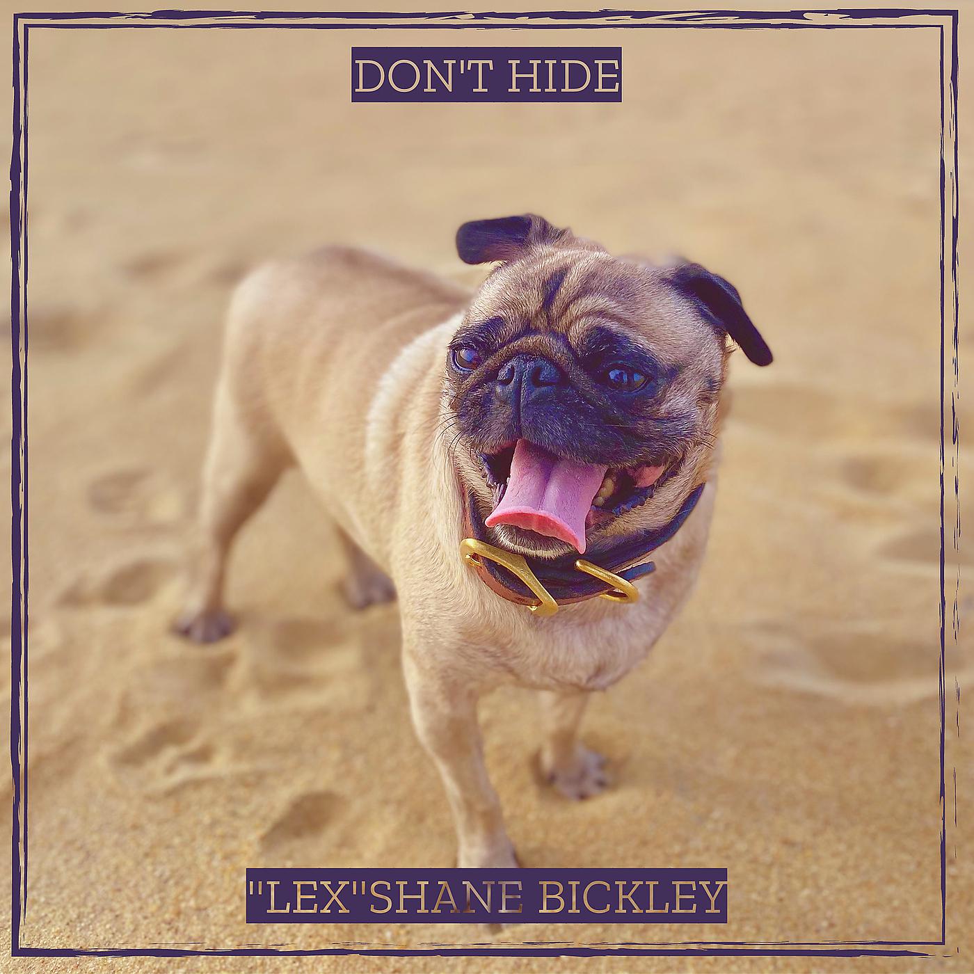 Постер альбома Don't Hide
