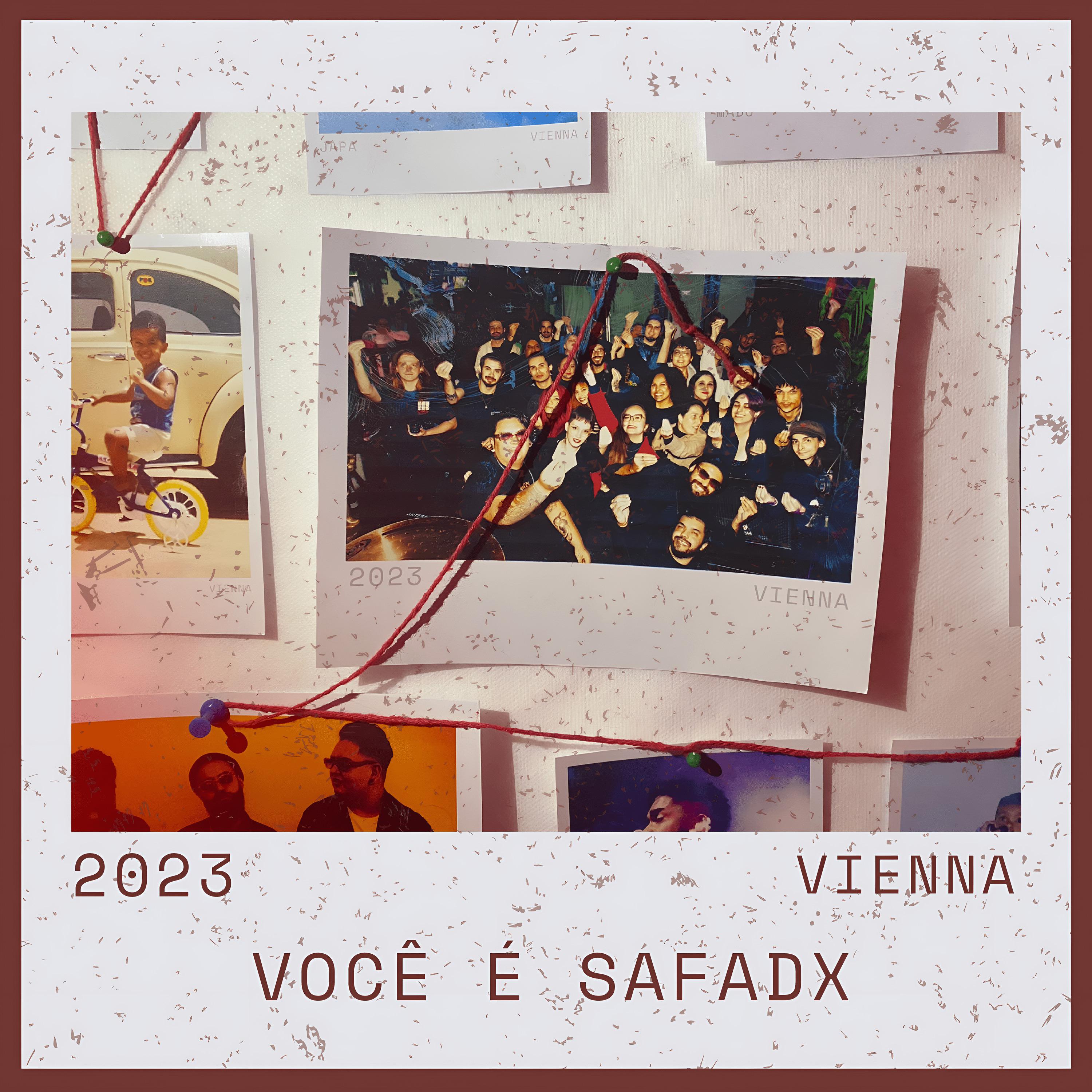 Постер альбома Você É Safadx
