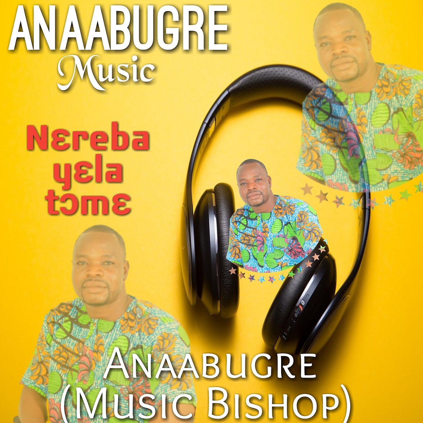 Постер альбома Nɛreba Yɛla Tɔmɛ
