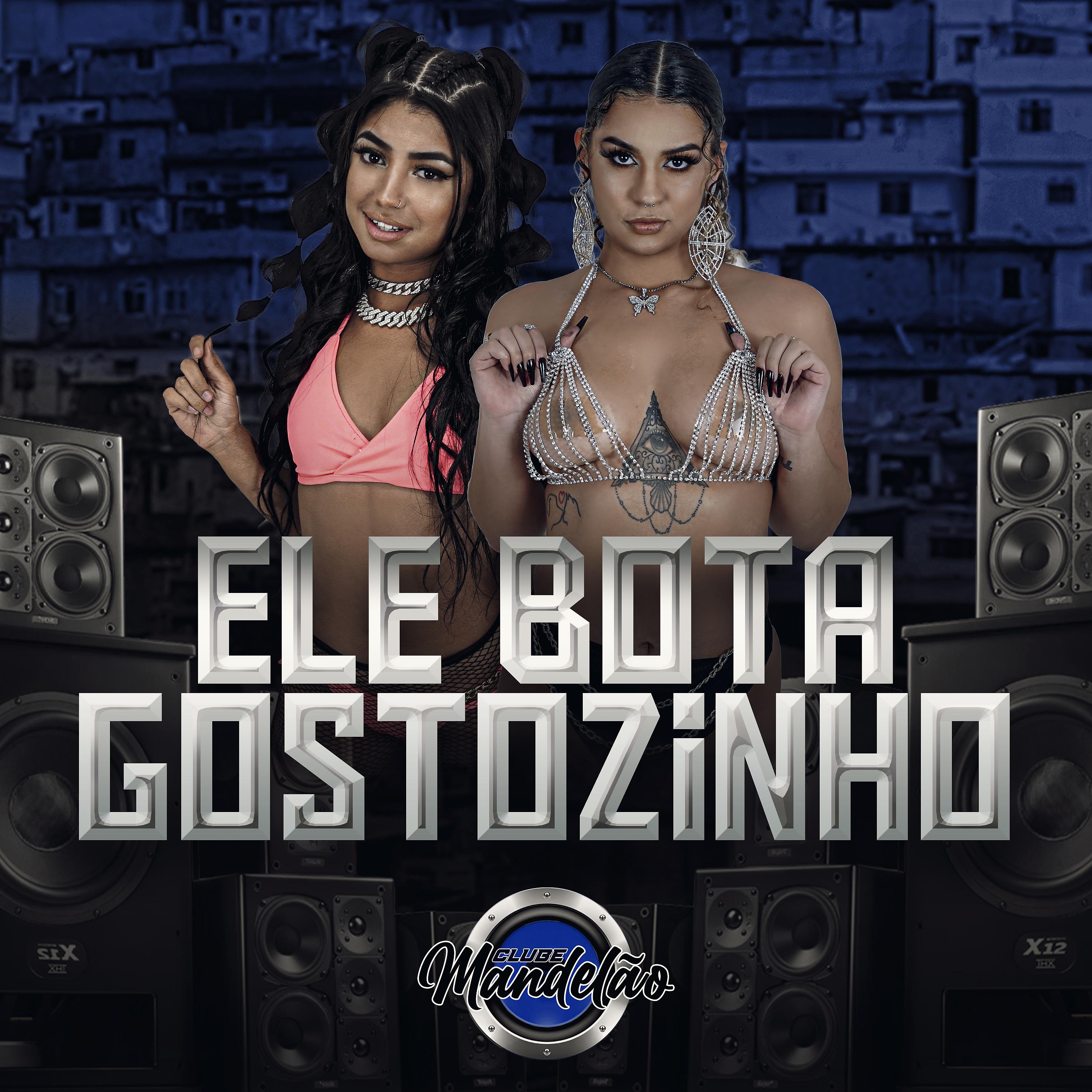 Постер альбома Ele Bota Gostozinho